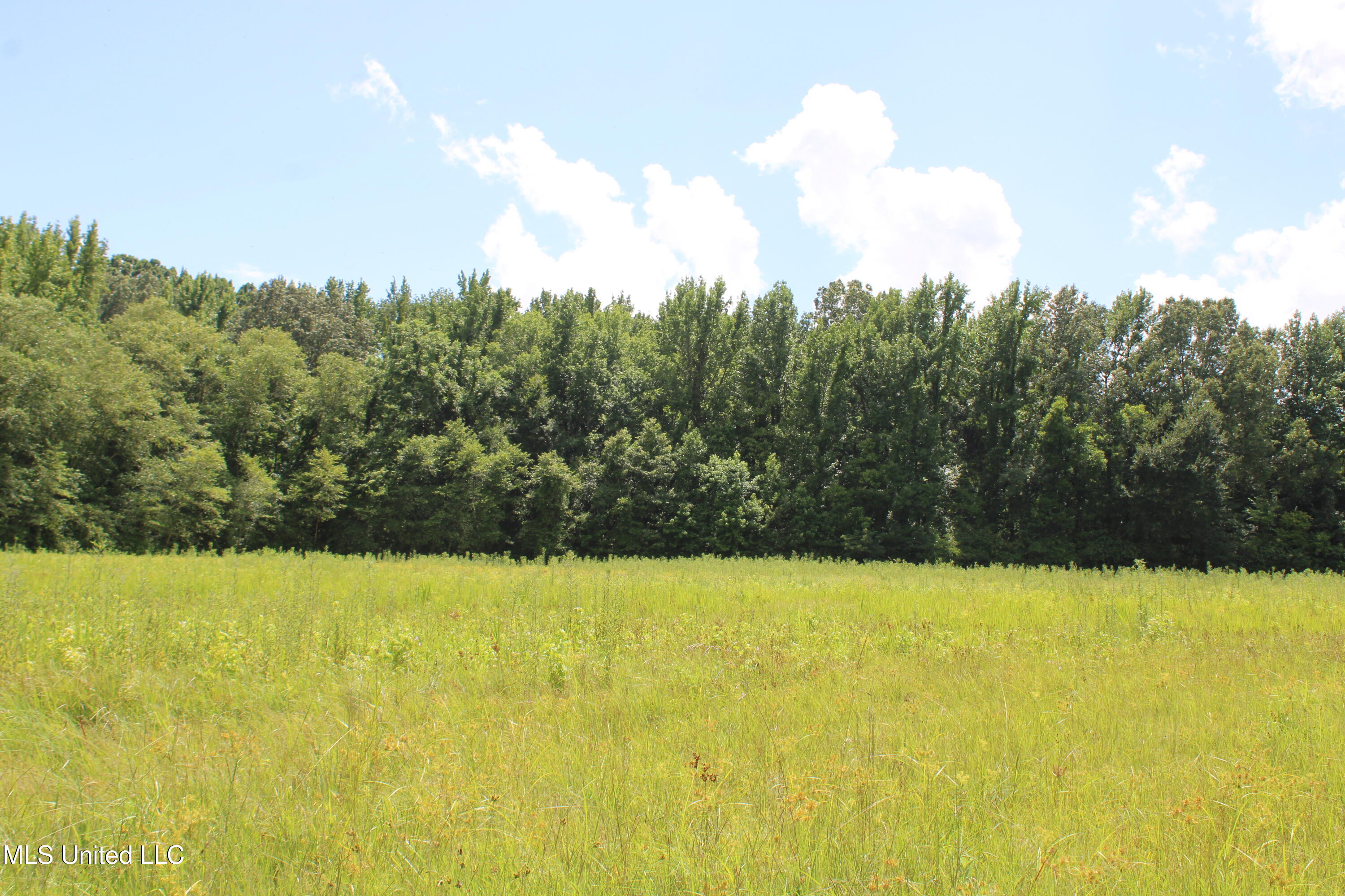 8654 Goodman Road Property Photo 23