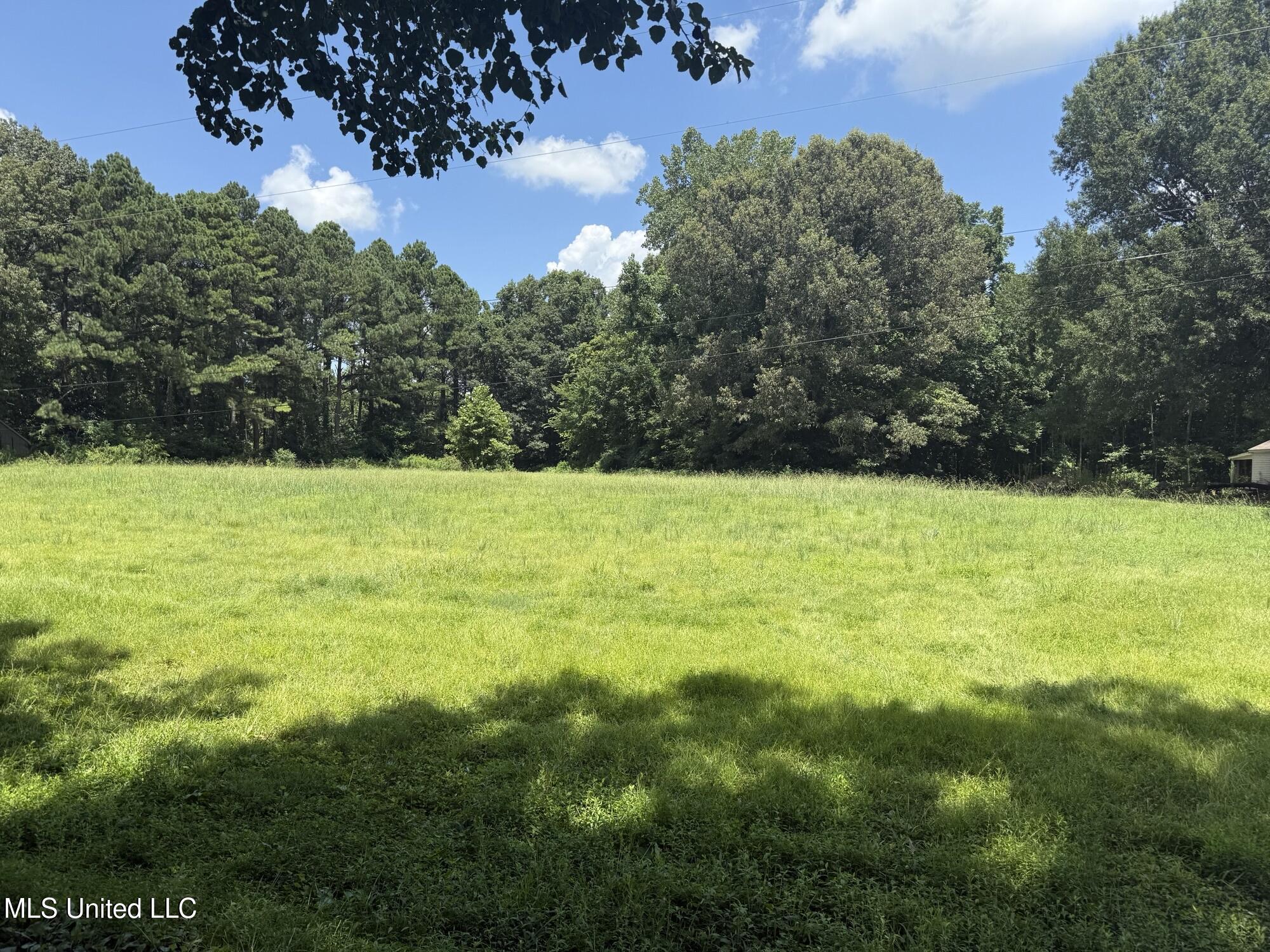 Horn Lake Road Property Photo 1