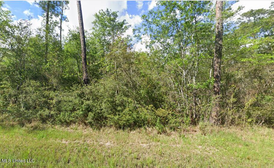 0 Ivy Drive Property Photo 1