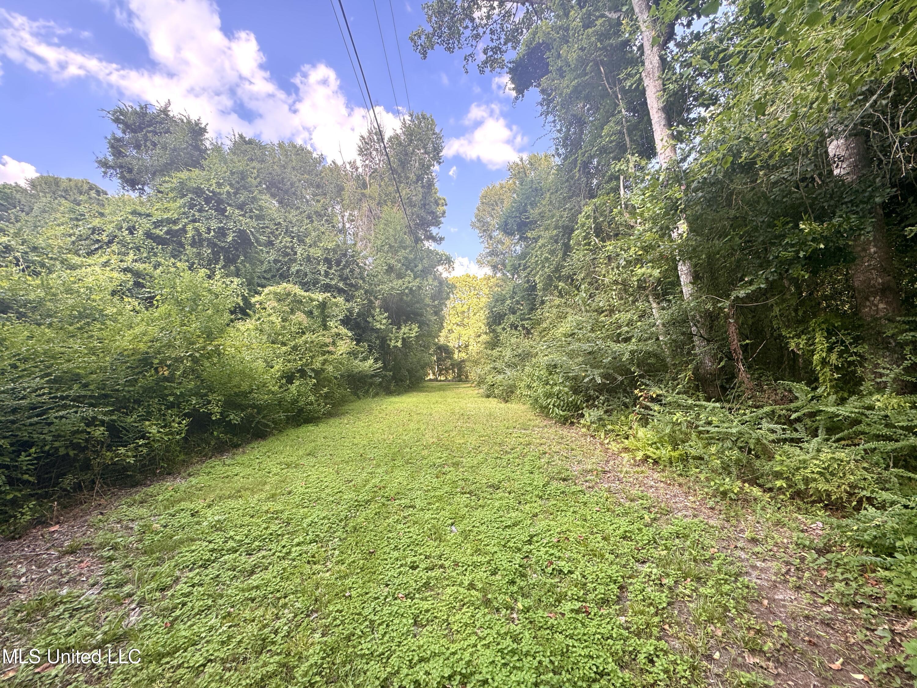 12 Zettel Road Property Photo 5