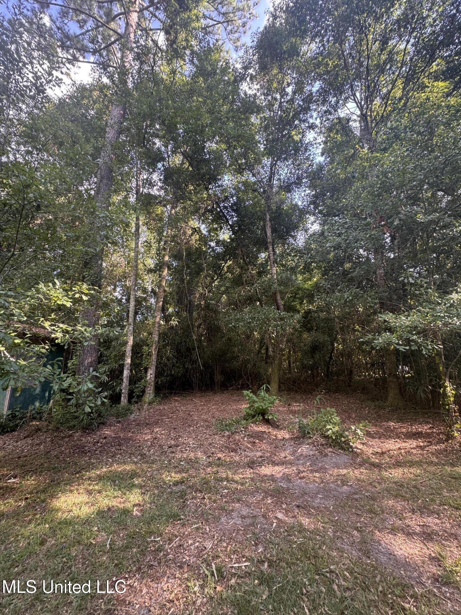 12 Zettel Road Property Photo 6