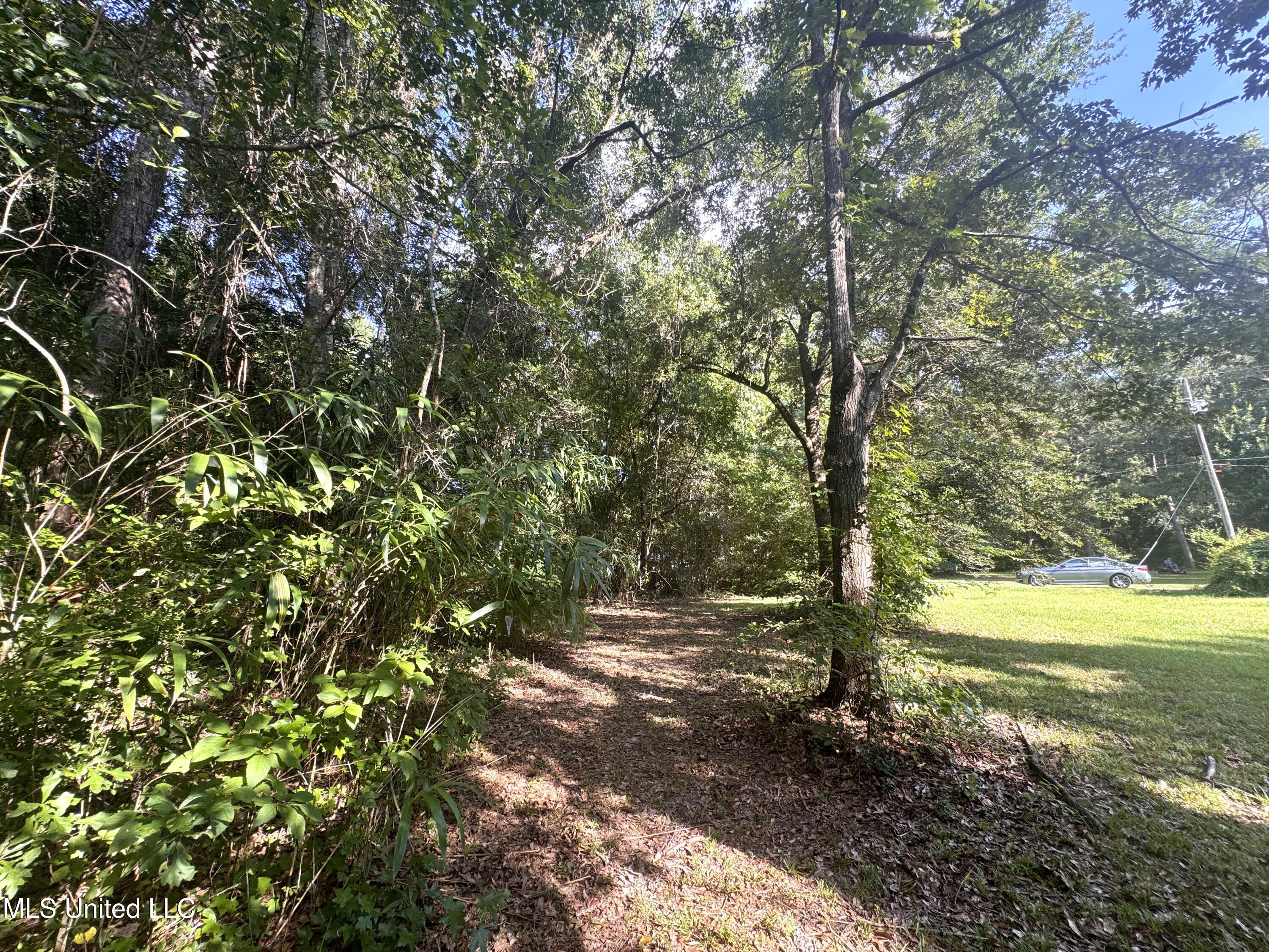 12 Zettel Road Property Photo 13