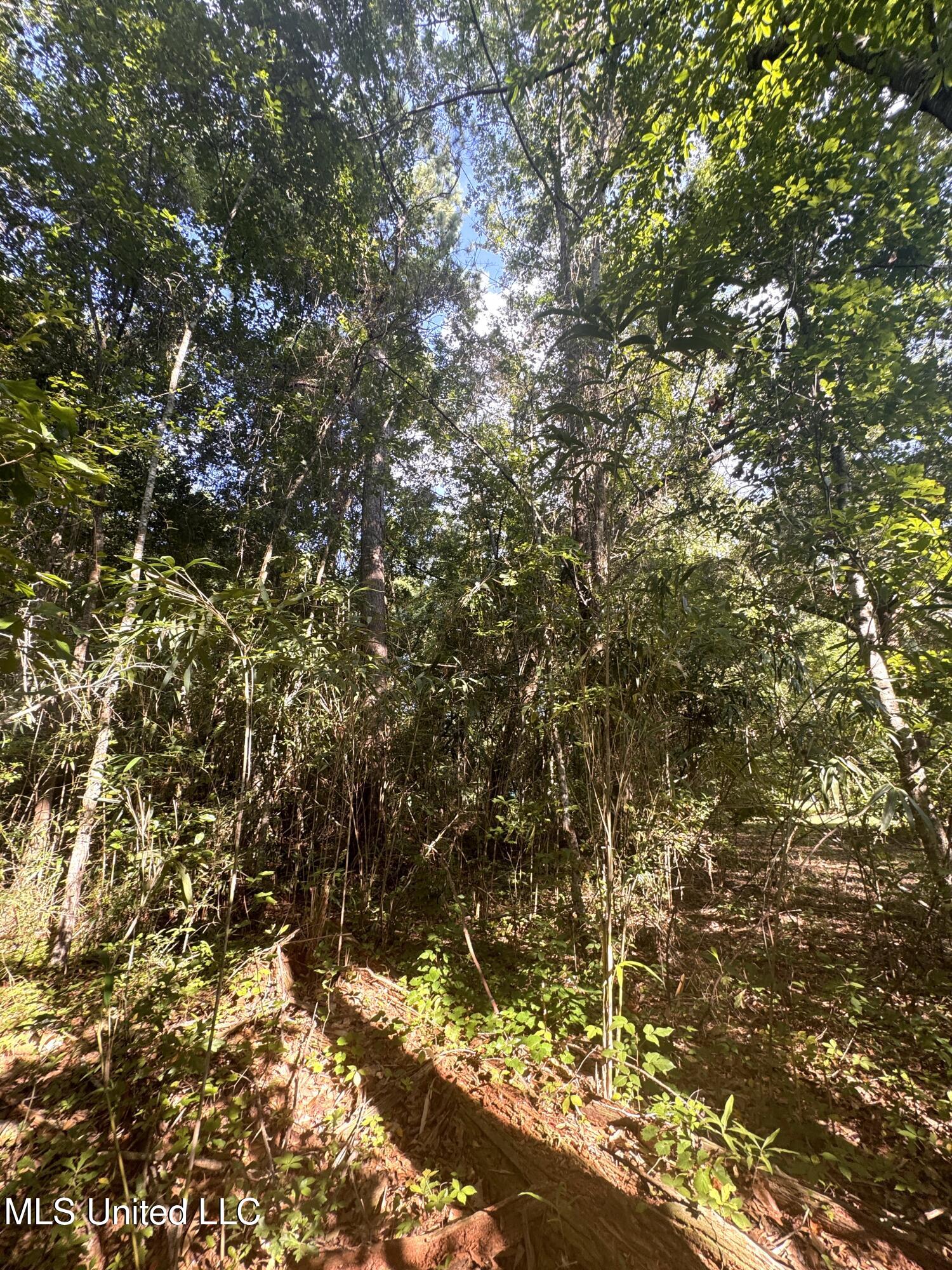 12 Zettel Road Property Photo 14
