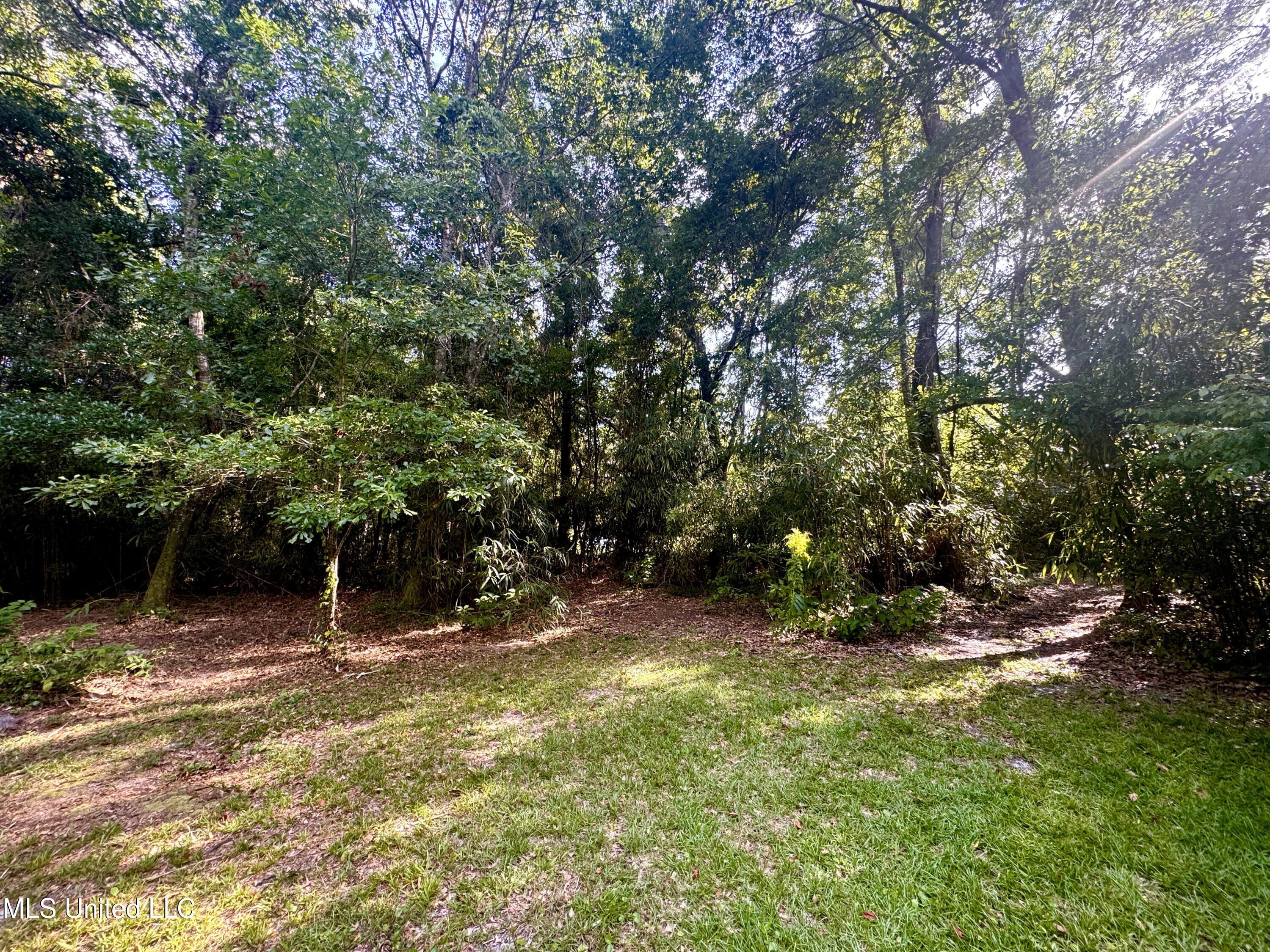 12 Zettel Road Property Photo 15
