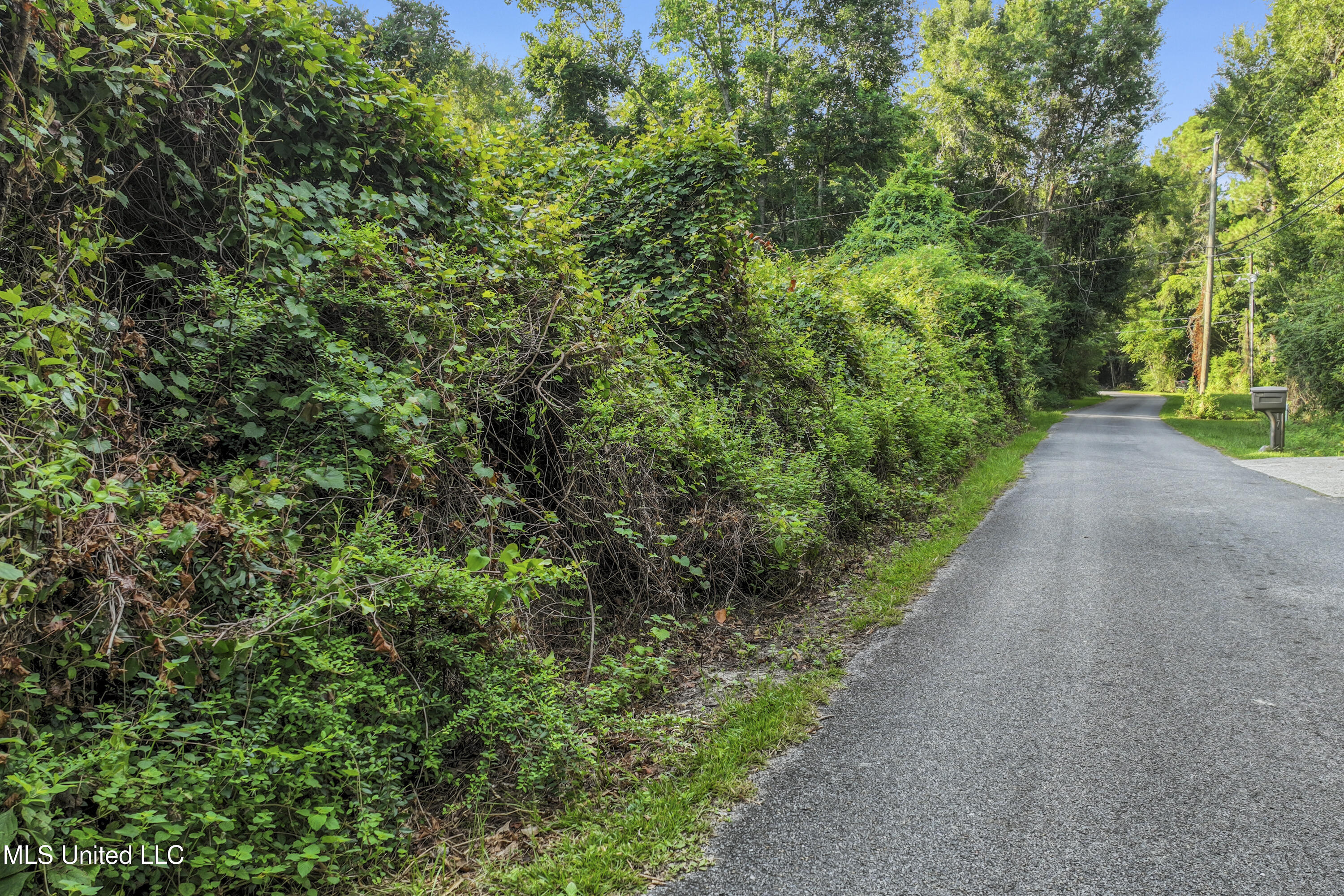 12 Zettel Road Property Photo 33
