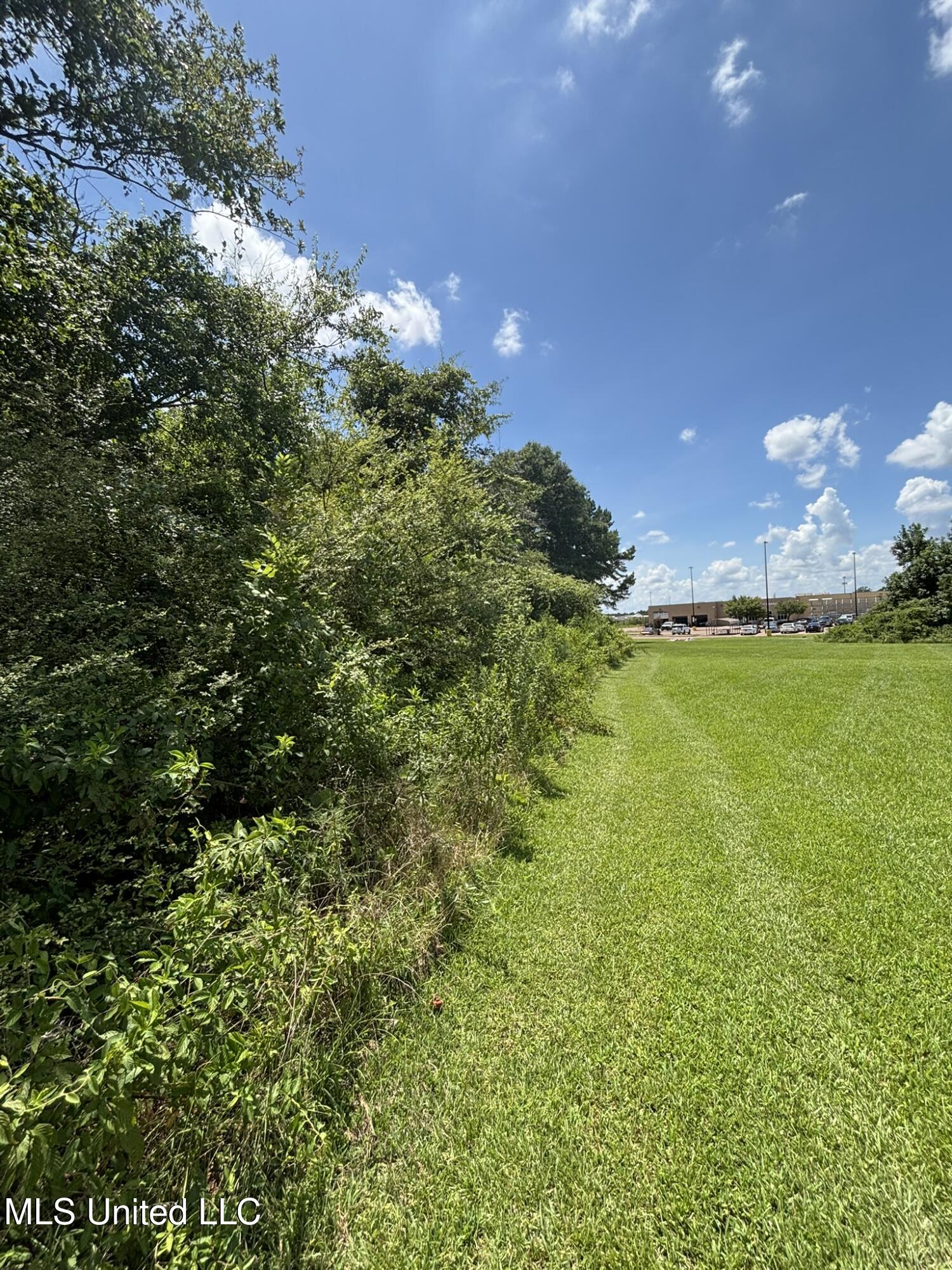 5846 Terry Road Property Photo 3
