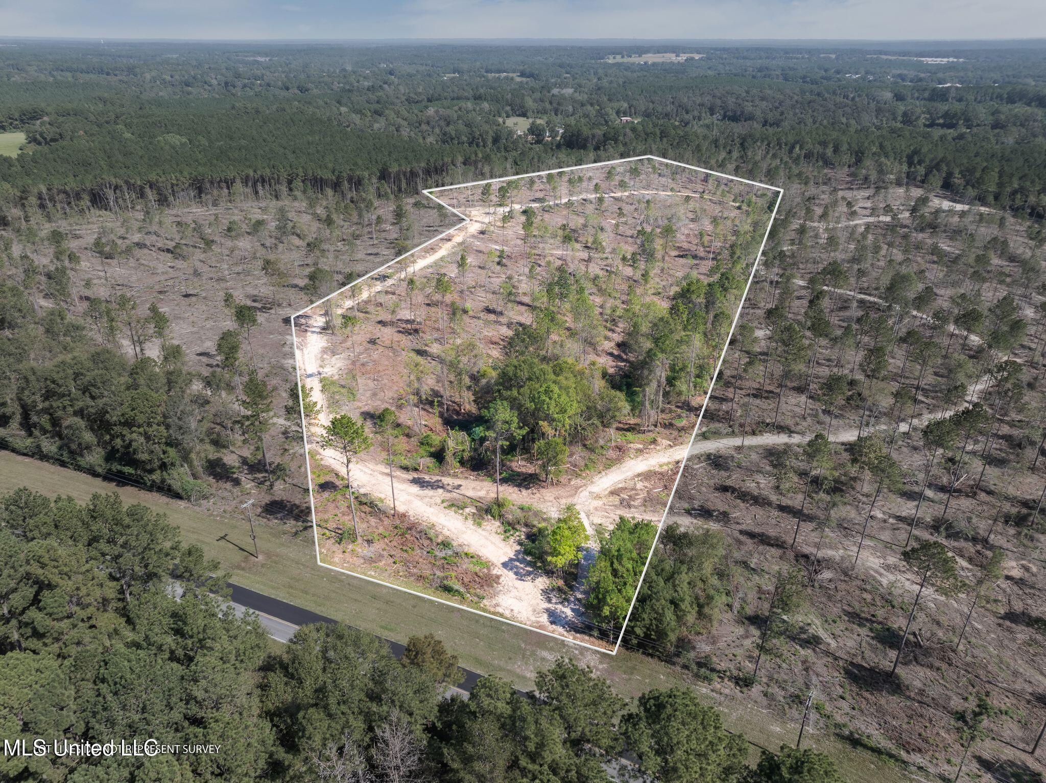 16.27 +/- Acres Shirley Sanford Road Property Photo 1