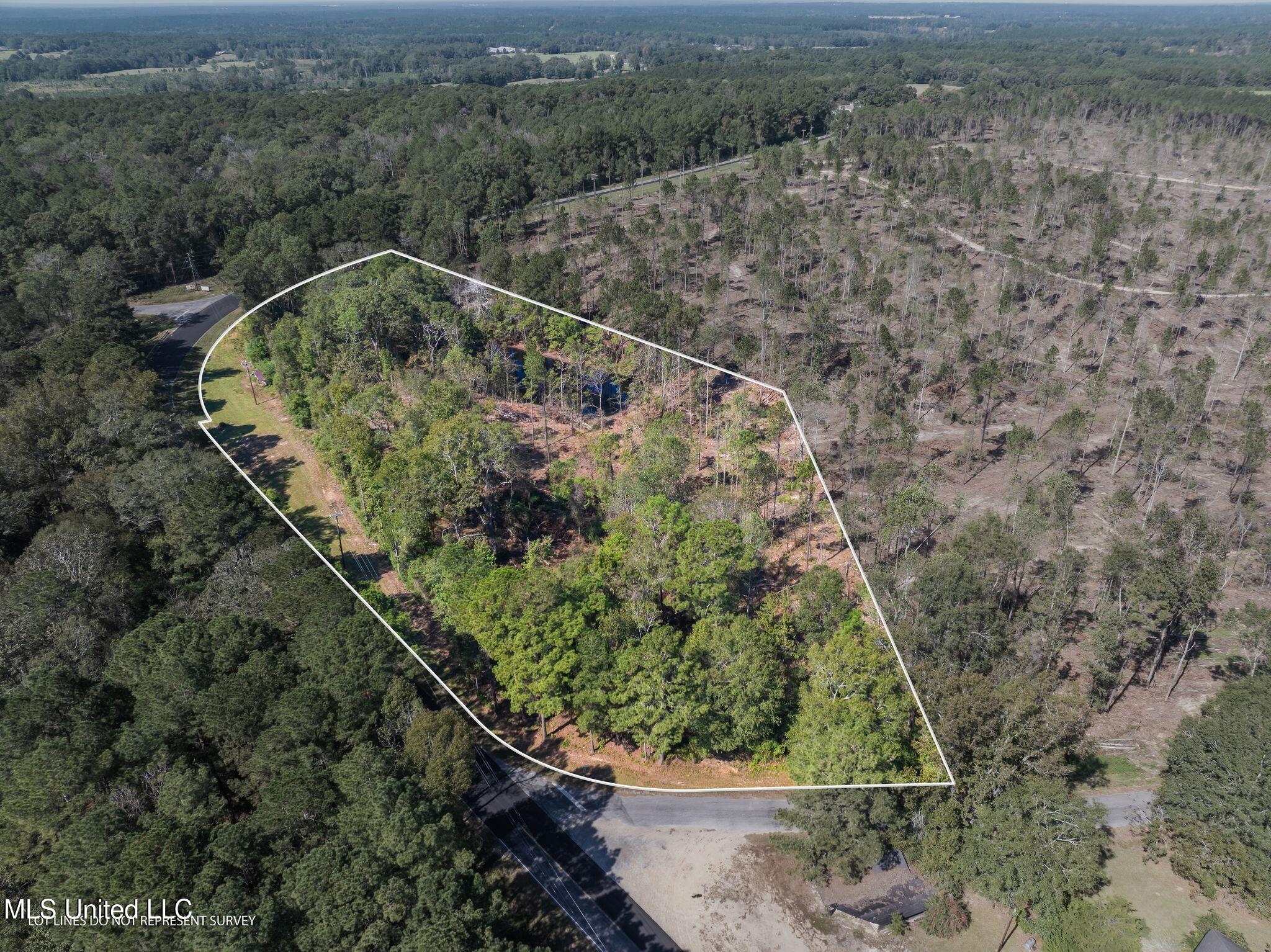 6.16 +/- Acres Shirley Sanford Road Property Photo 1