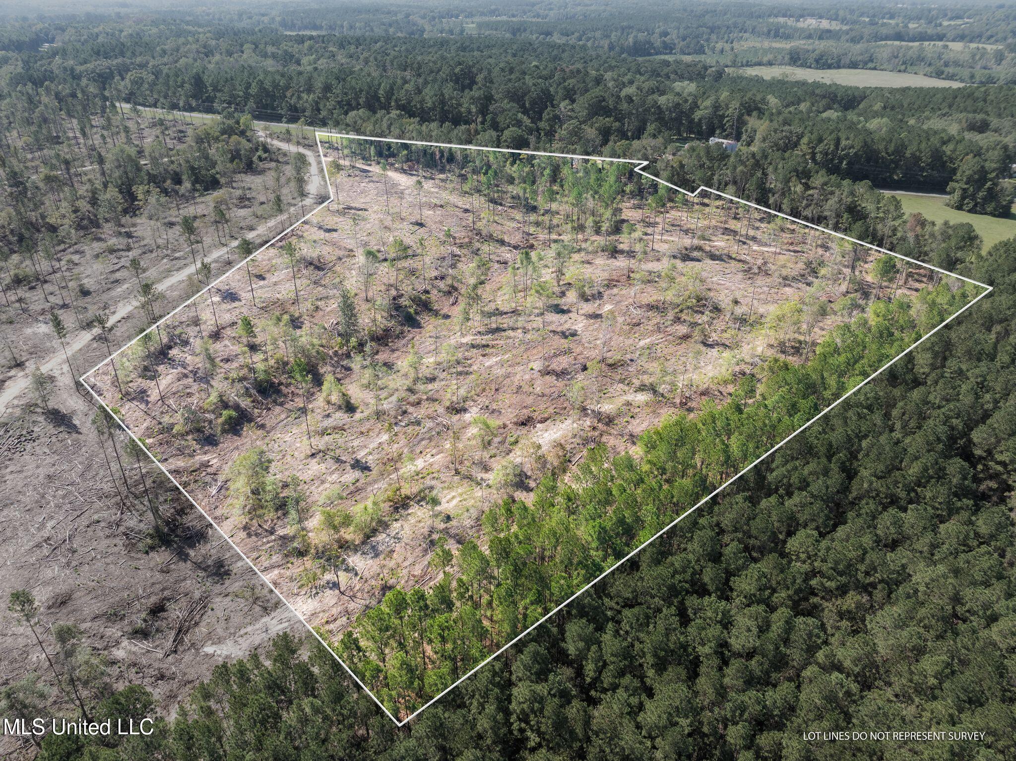 14.55 +/- Acres Shirley Sanford Road Property Photo 1