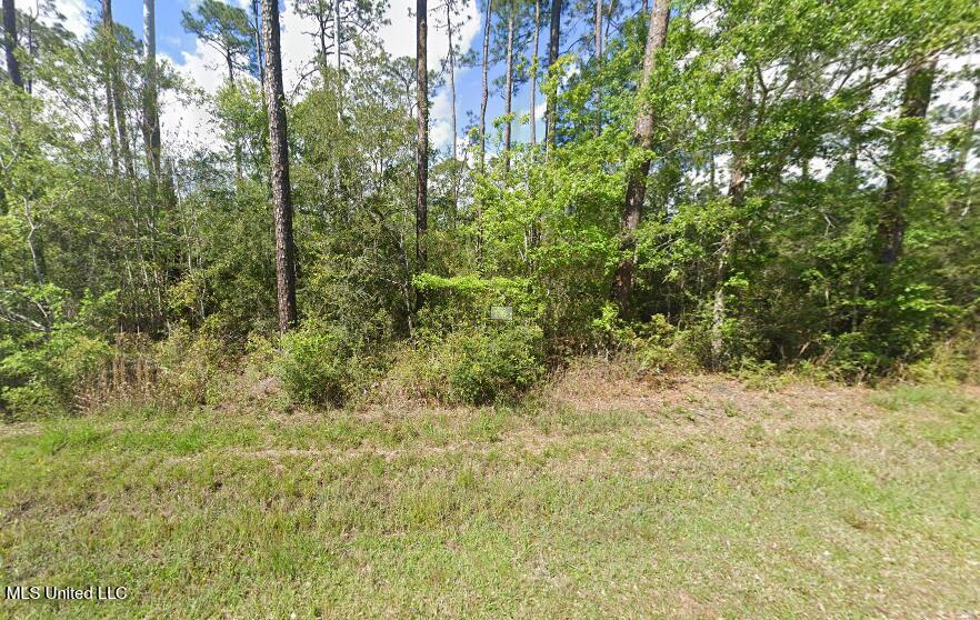 0 Holly Drive Property Photo 1