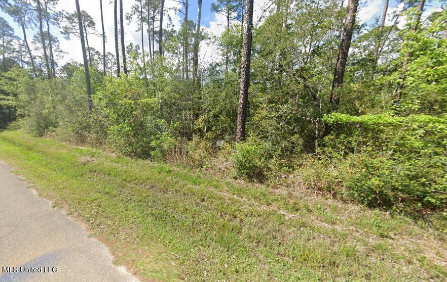 0 Holly Drive Property Photo 2