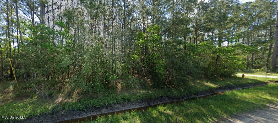 0 Cameo Street Property Photo 6