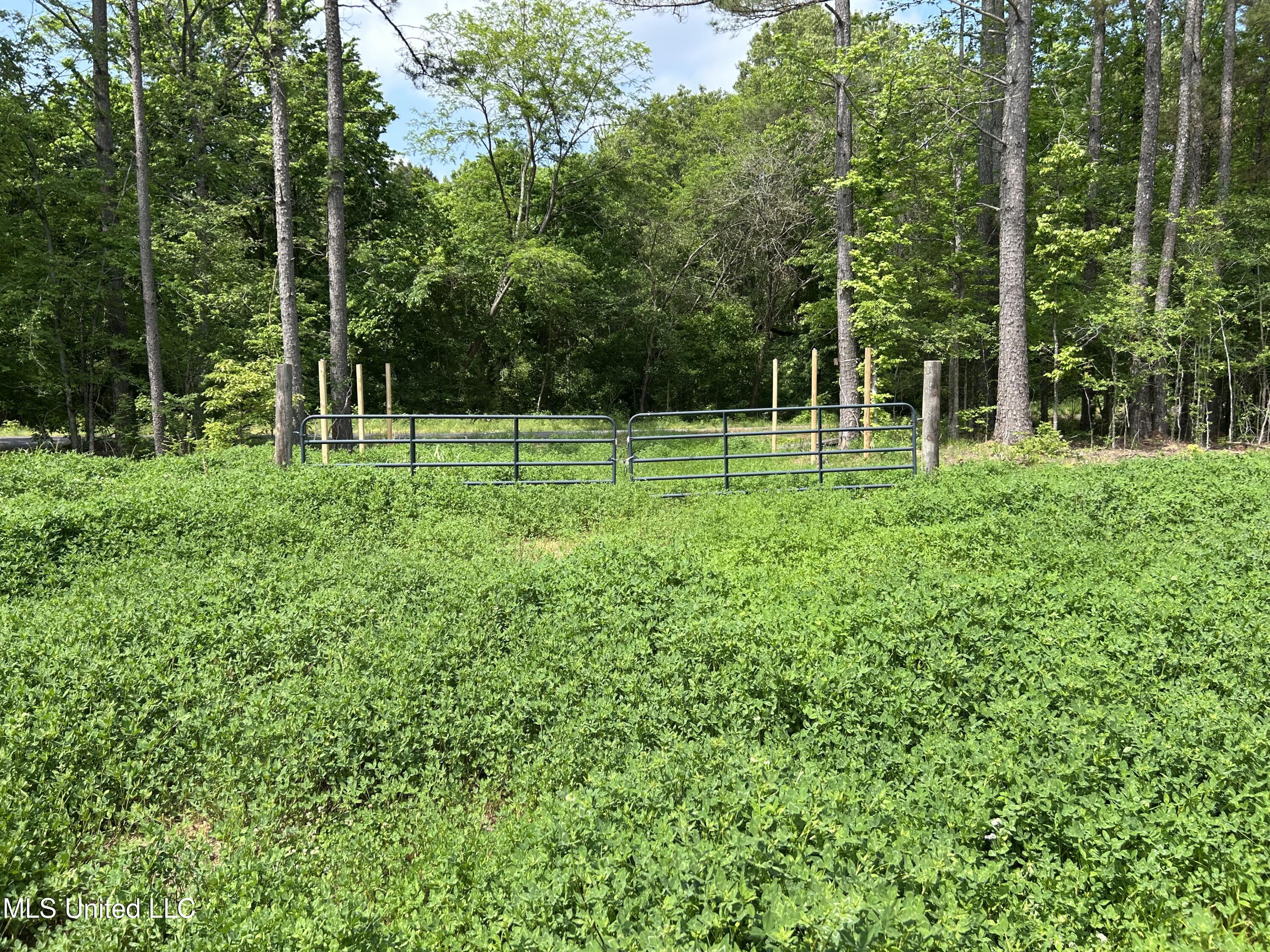 4315 N Crockett Road Property Photo 9