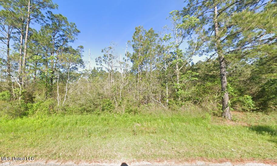 0 Robin Street Property Photo 2