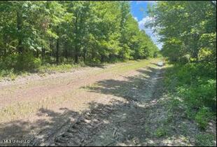 0 Priddy Rd Property Photo 12