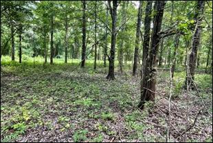 0 Priddy Rd Property Photo 15