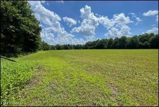 0 Priddy Rd Property Photo 16