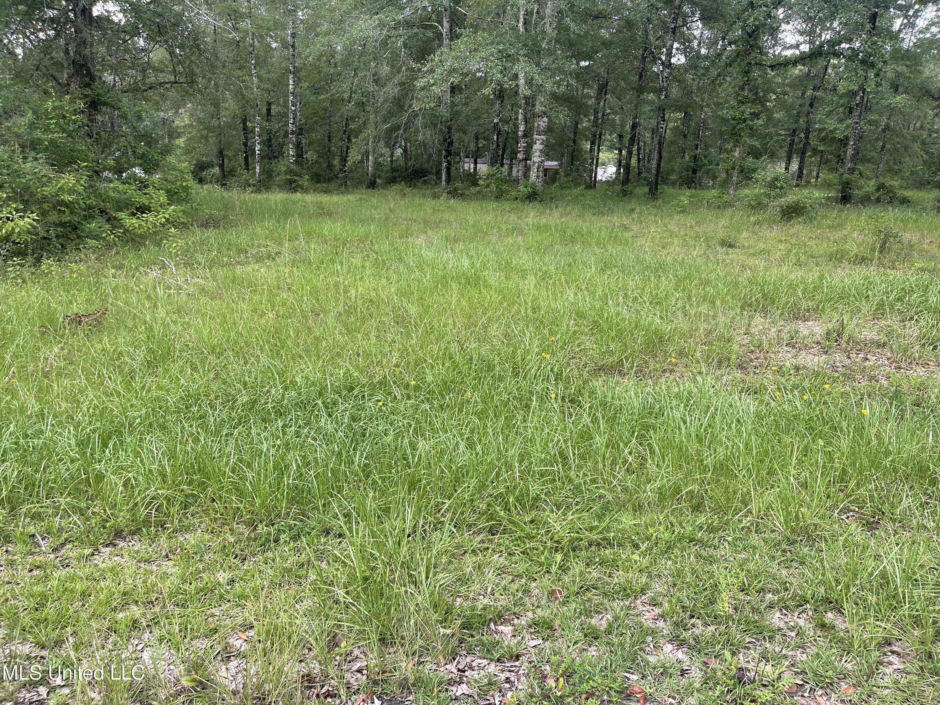 Plantation Road Property Photo 8