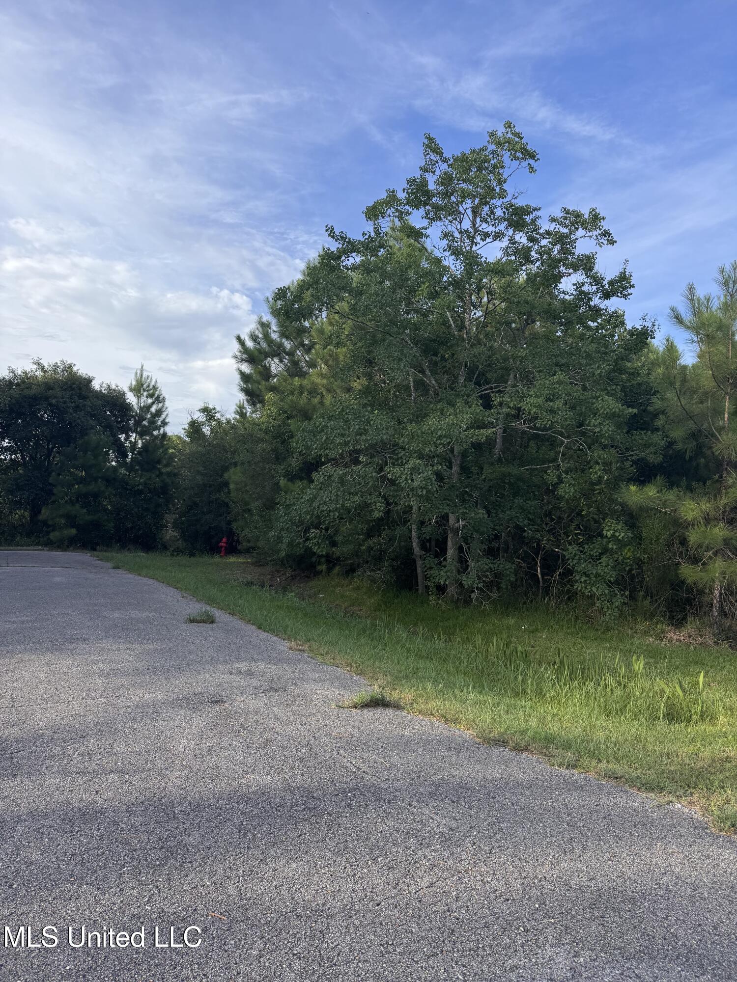 10128 Peachtree Drive Property Photo 1