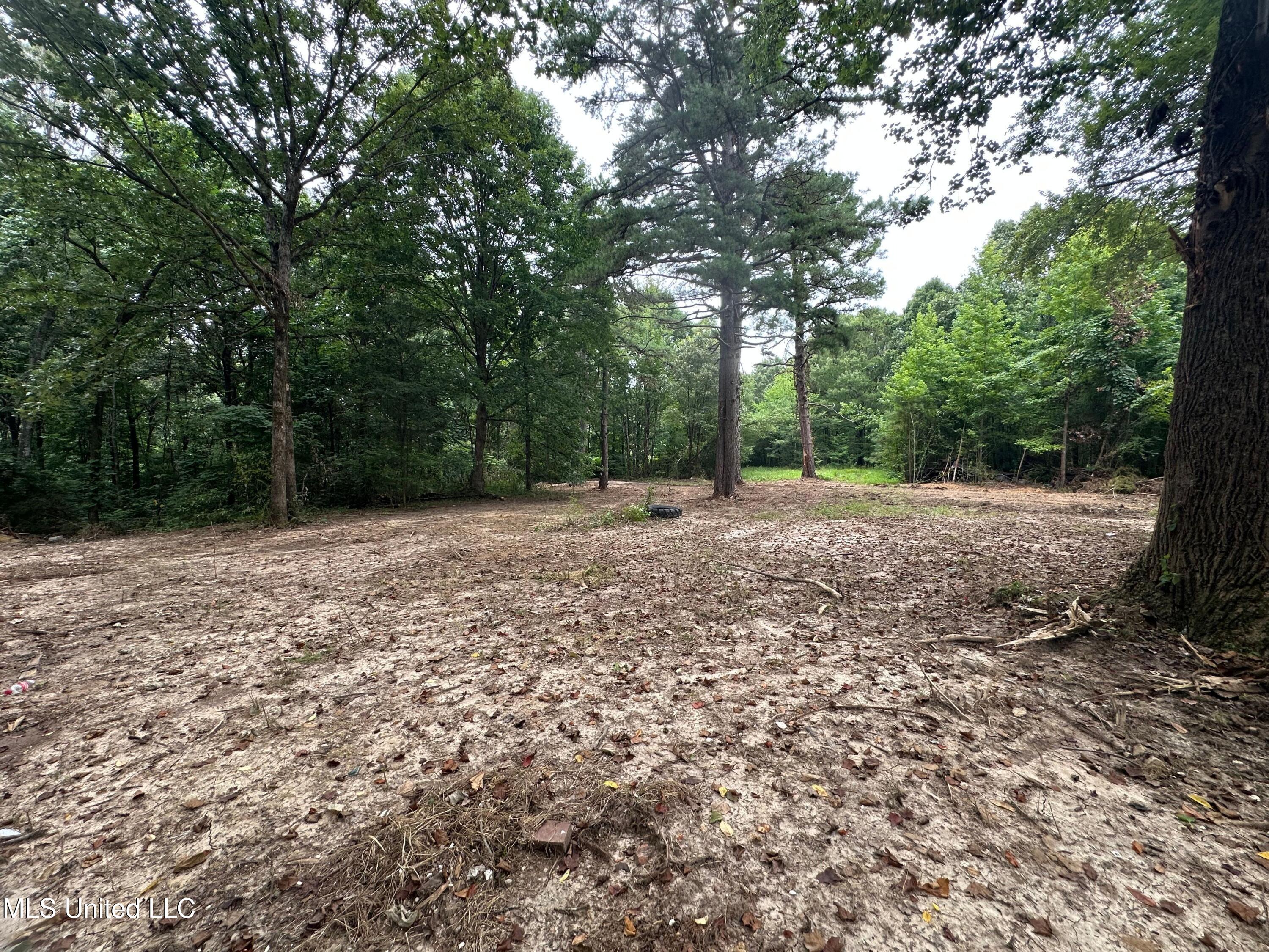 Old Highway 7 Property Photo 7