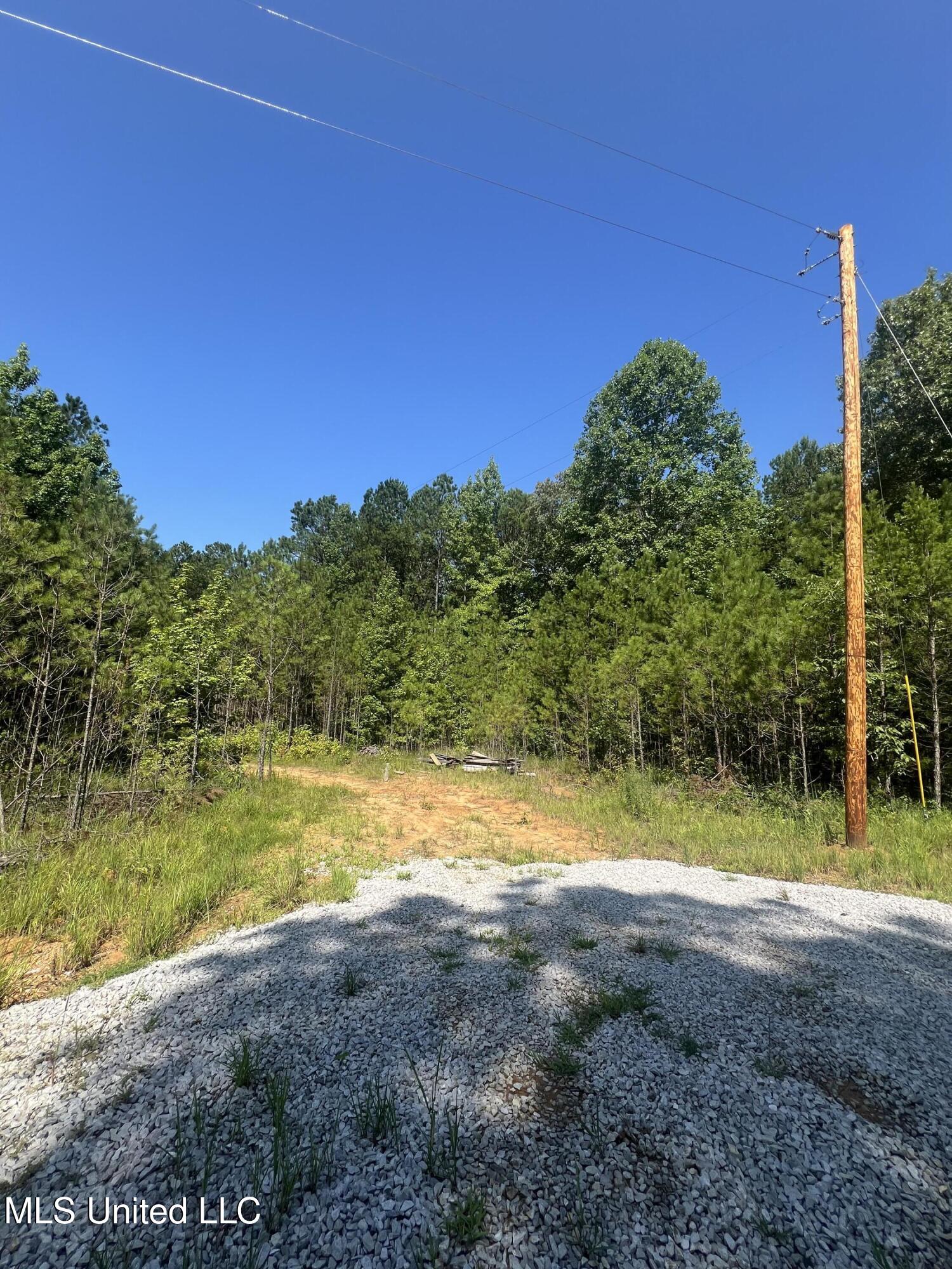 1141 County Road 172 Property Photo 1