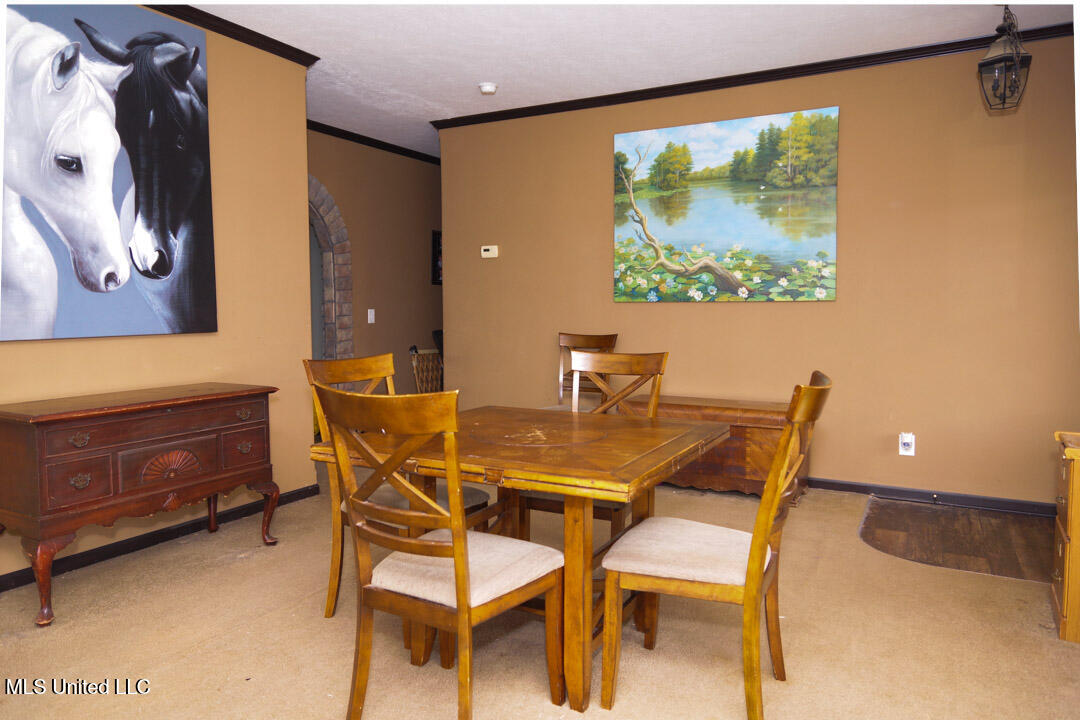 3767 Springridge Road Property Photo 46