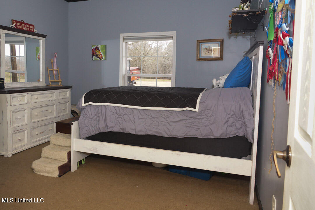 3767 Springridge Road Property Photo 68