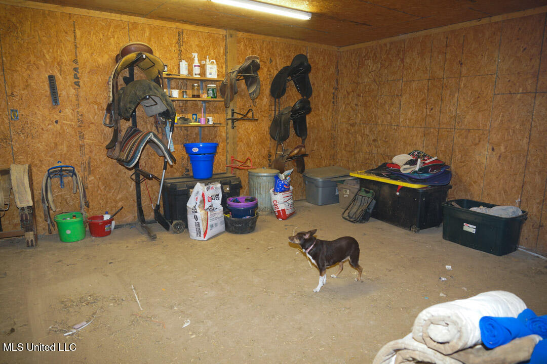 3767 Springridge Road Property Photo 114