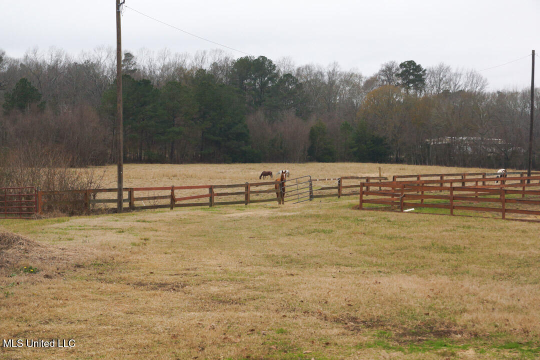 3767 Springridge Road Property Photo 118