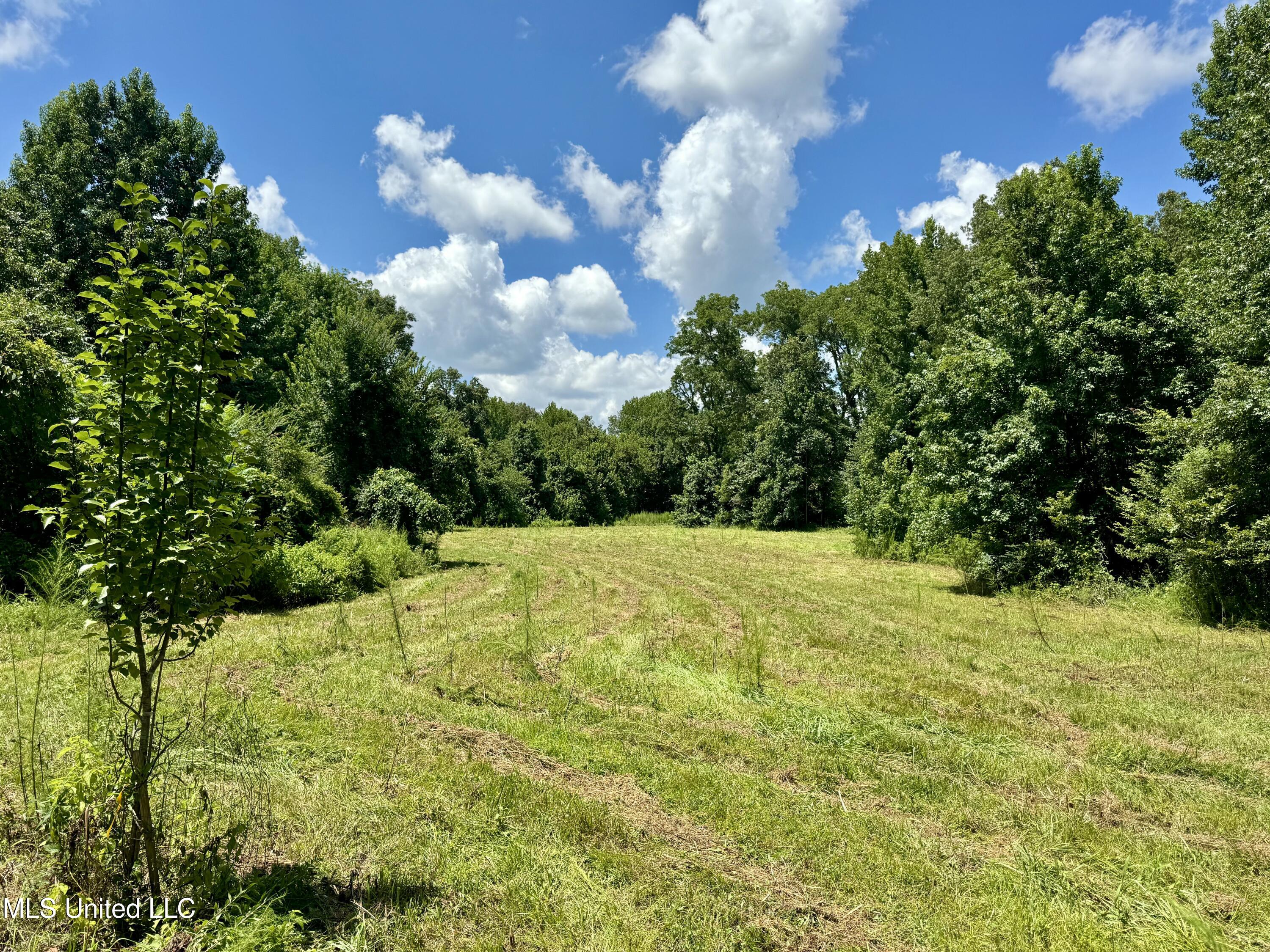 0001 Coxs Ferry Road Property Photo 8