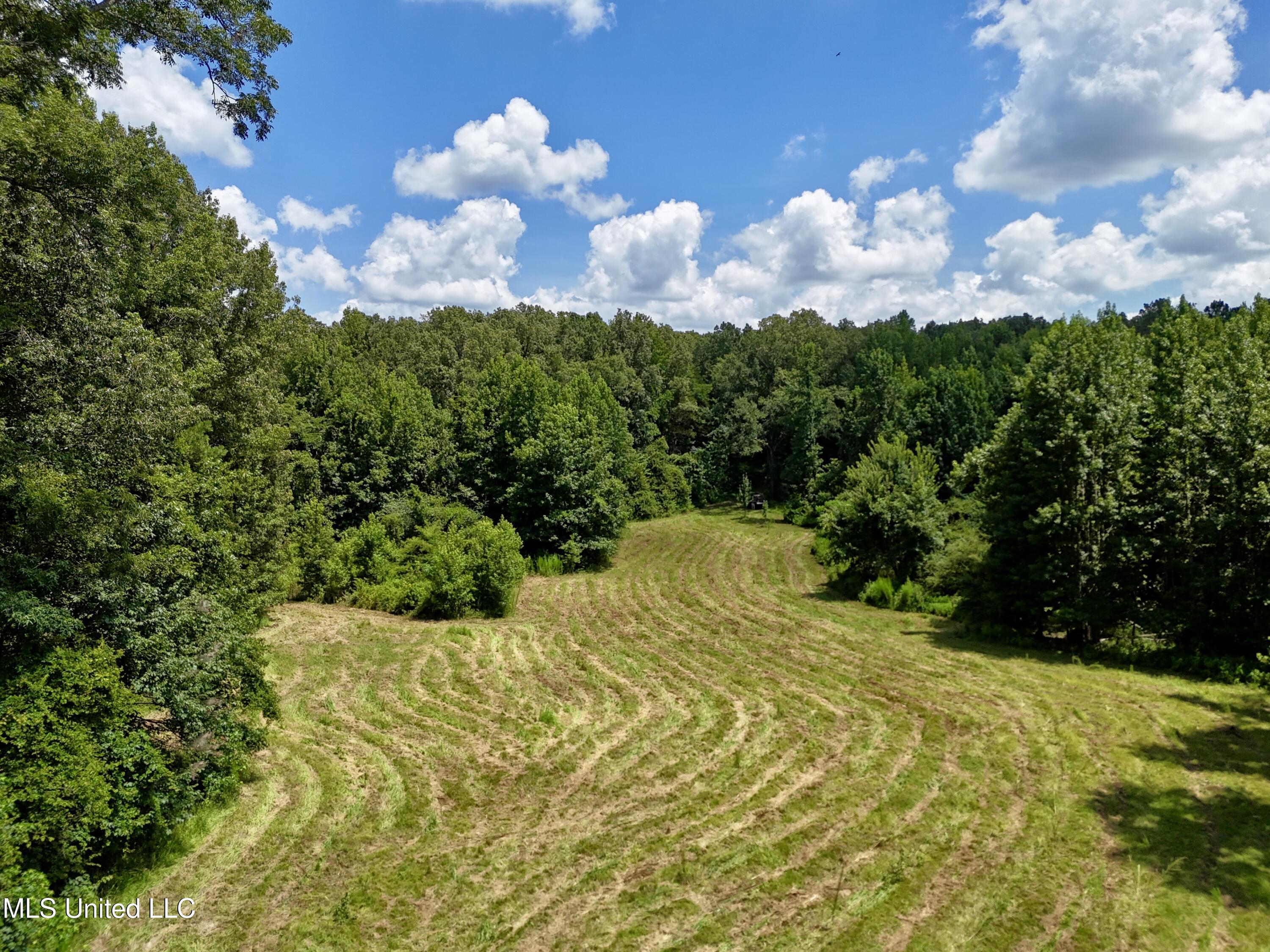 0001 Coxs Ferry Road Property Photo 13