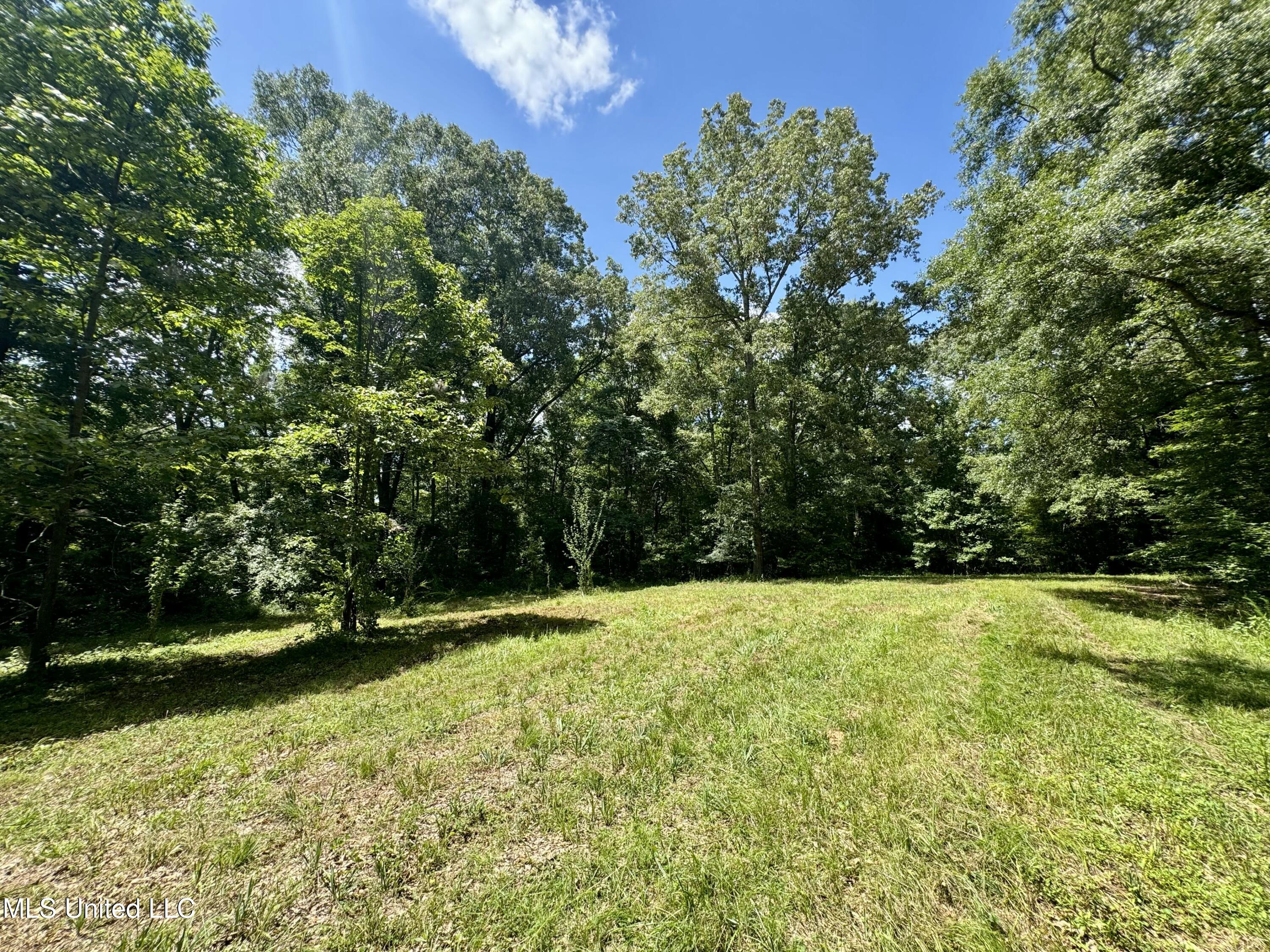0001 Coxs Ferry Road Property Photo 23