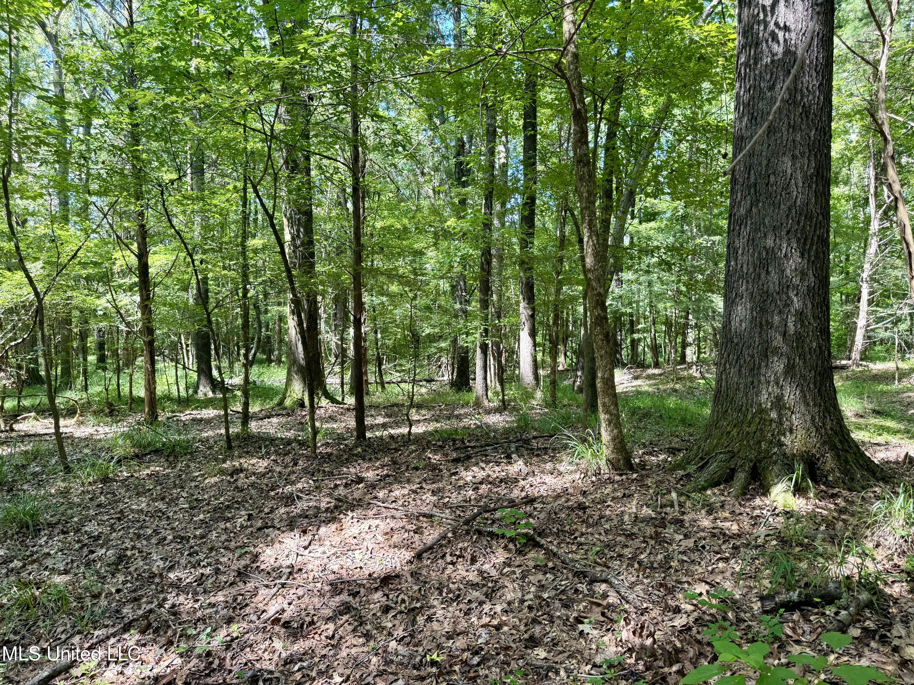 0001 Coxs Ferry Road Property Photo 25
