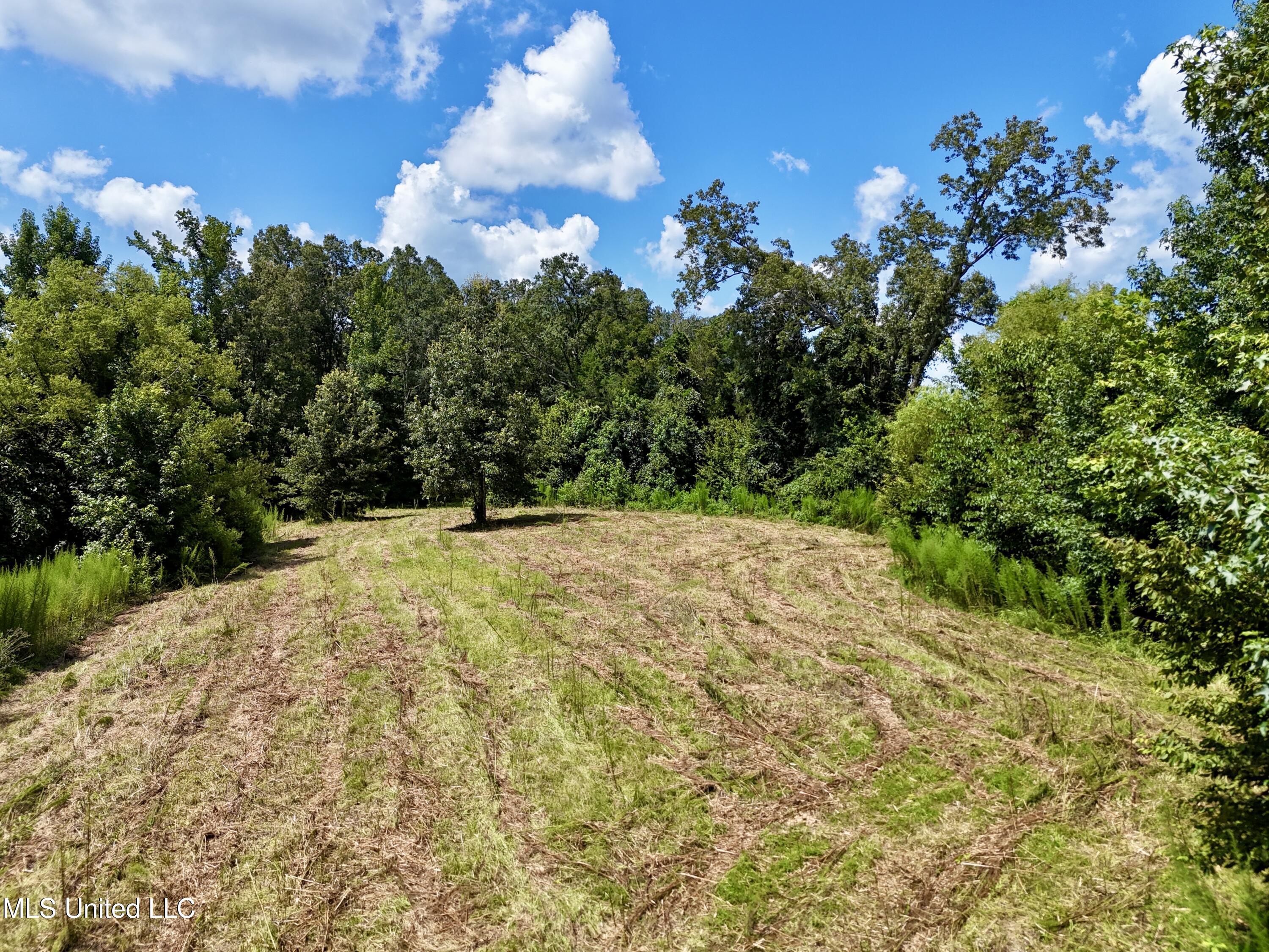 0001 Coxs Ferry Road Property Photo 28