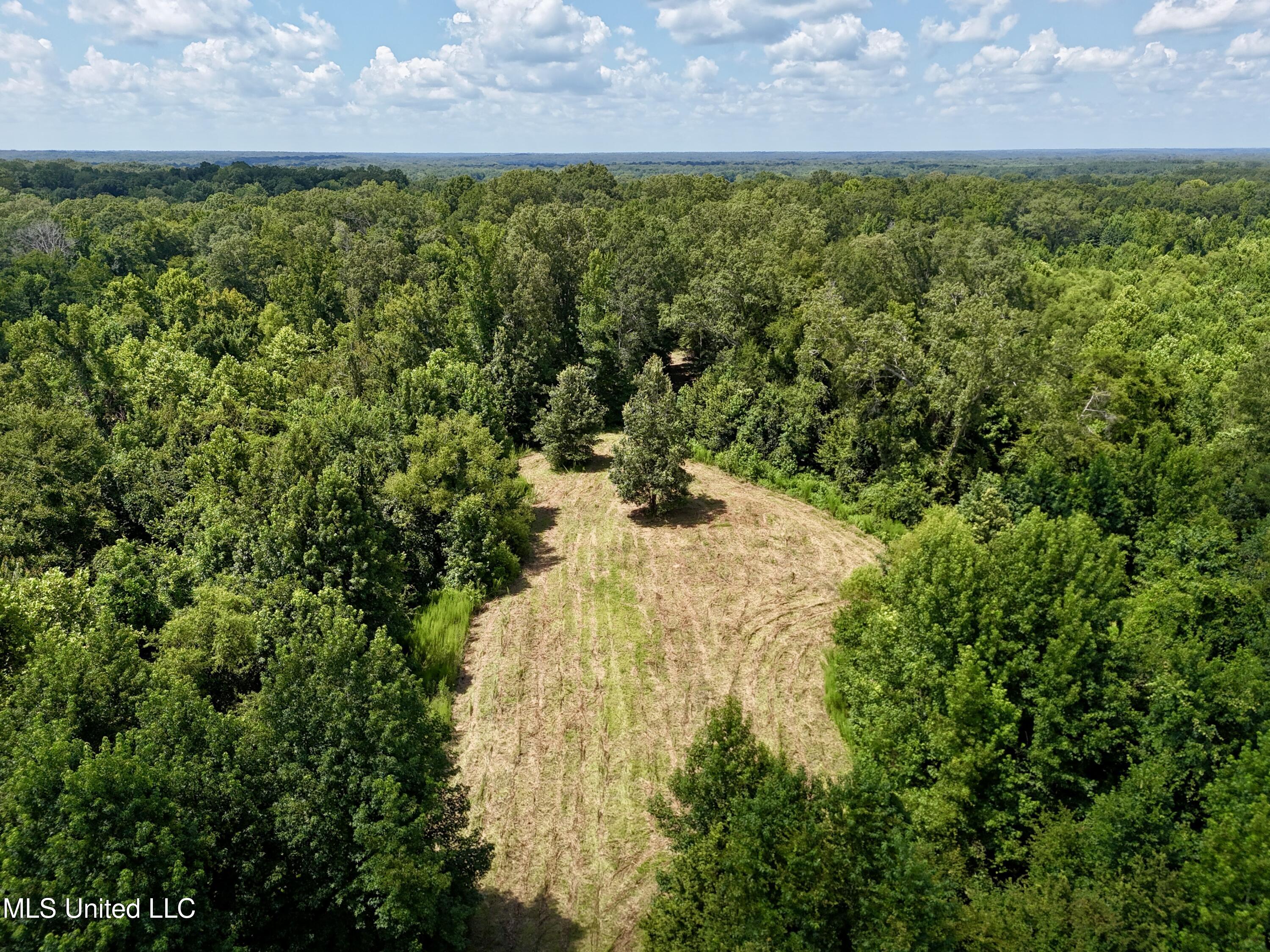 0001 Coxs Ferry Road Property Photo 29