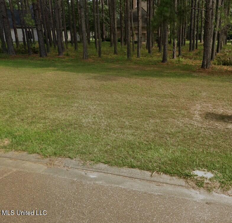 Lots 2&3 Club Drive Property Photo 3