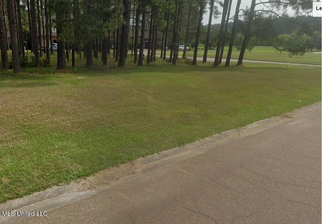 Lots 2&3 Club Drive Property Photo 4