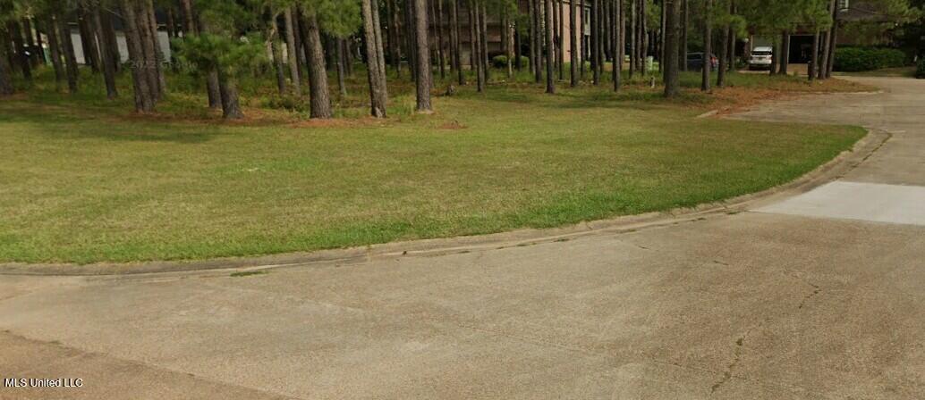 Lots 2&3 Club Drive Property Photo 5