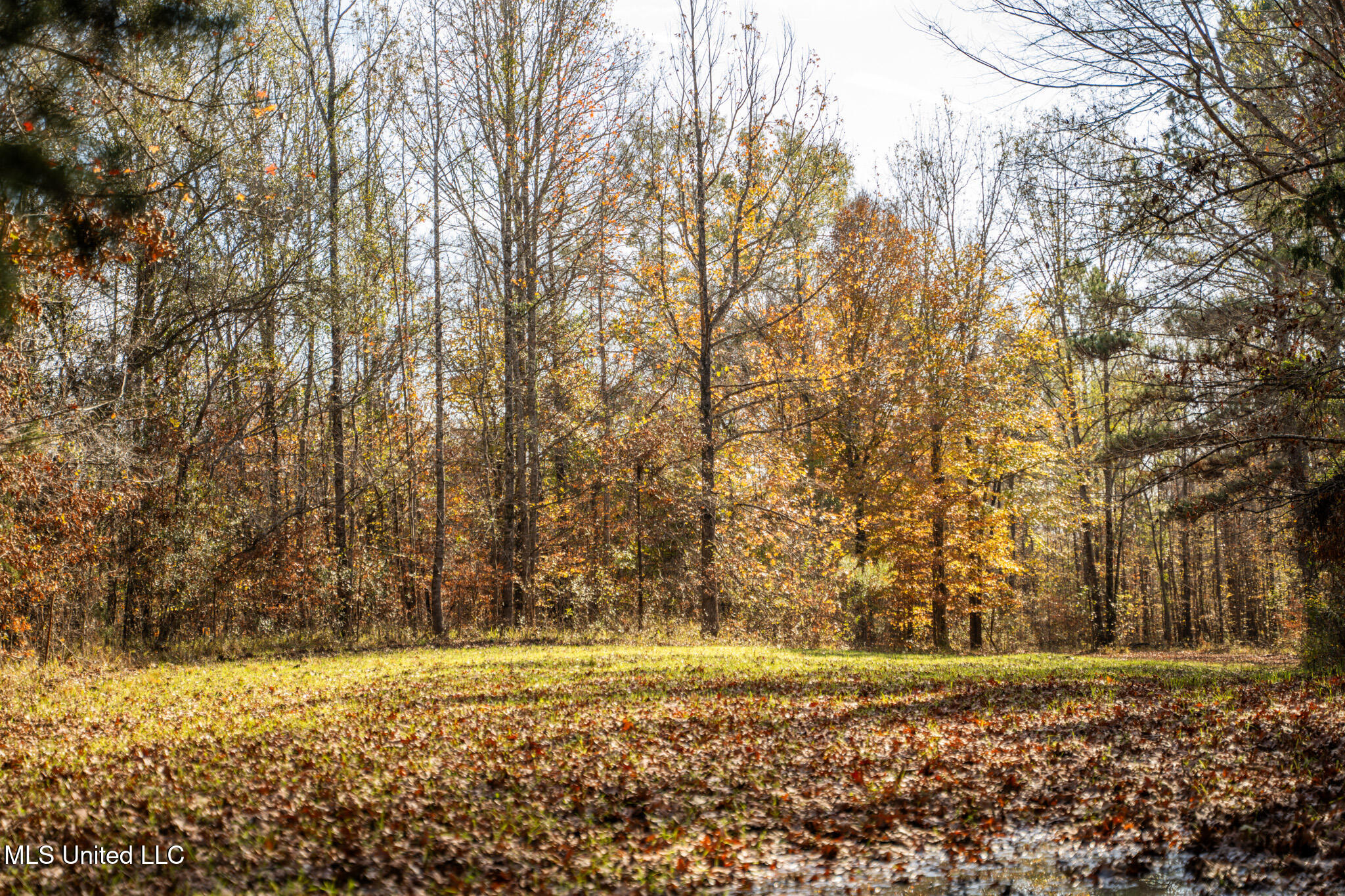 553 Murray Road Property Photo 45