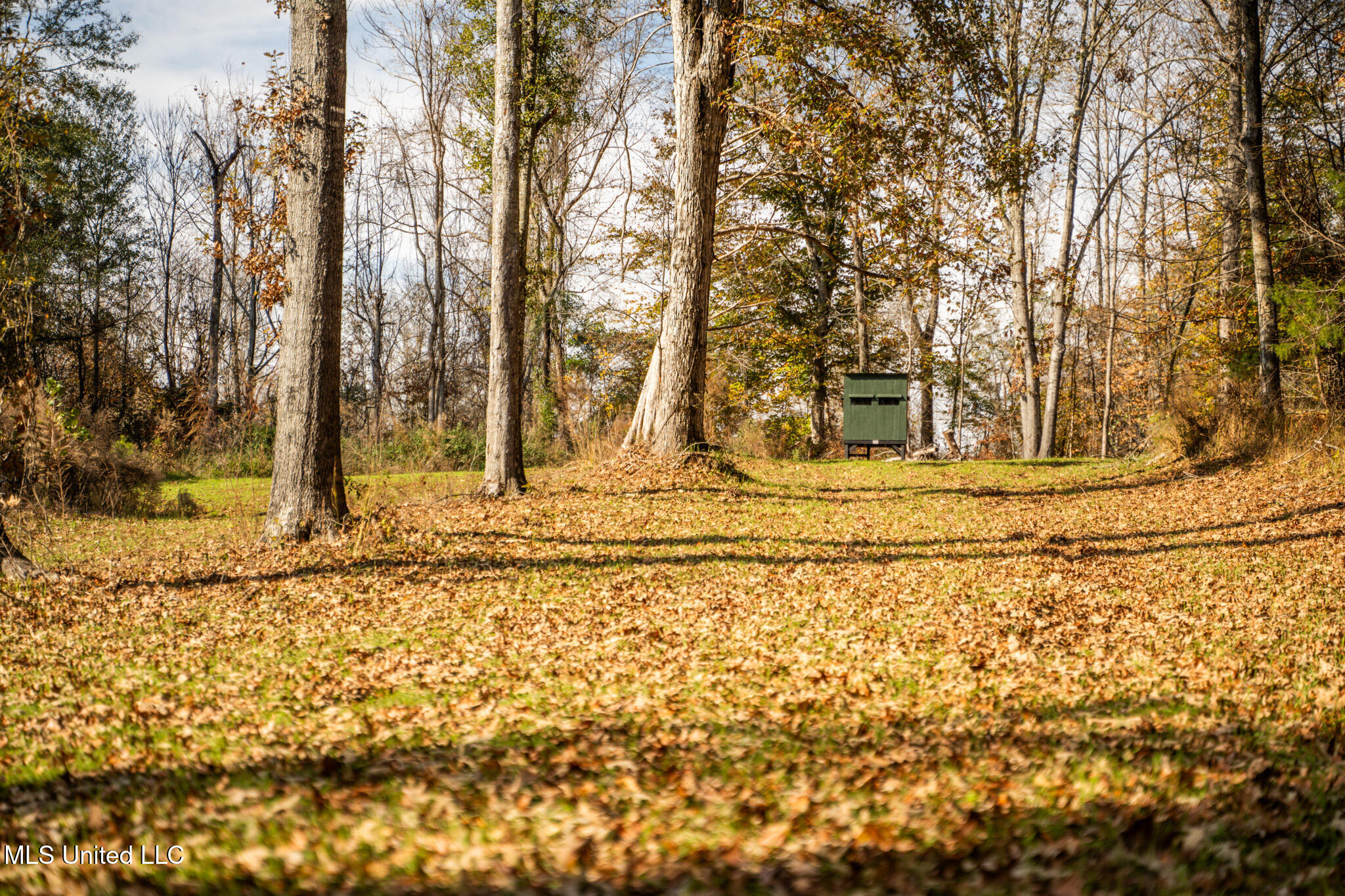 553 Murray Road Property Photo 47