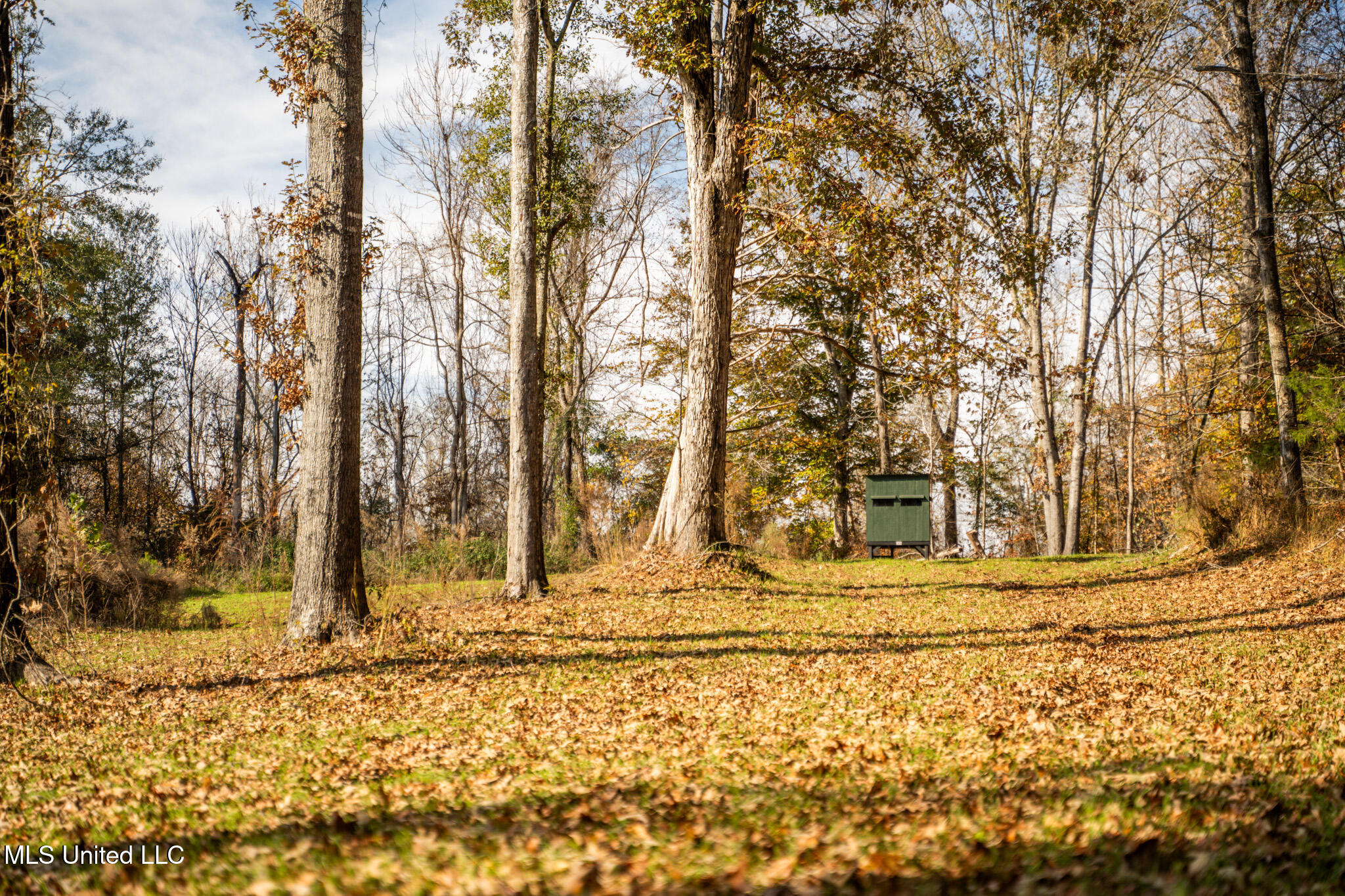 553 Murray Road Property Photo 48