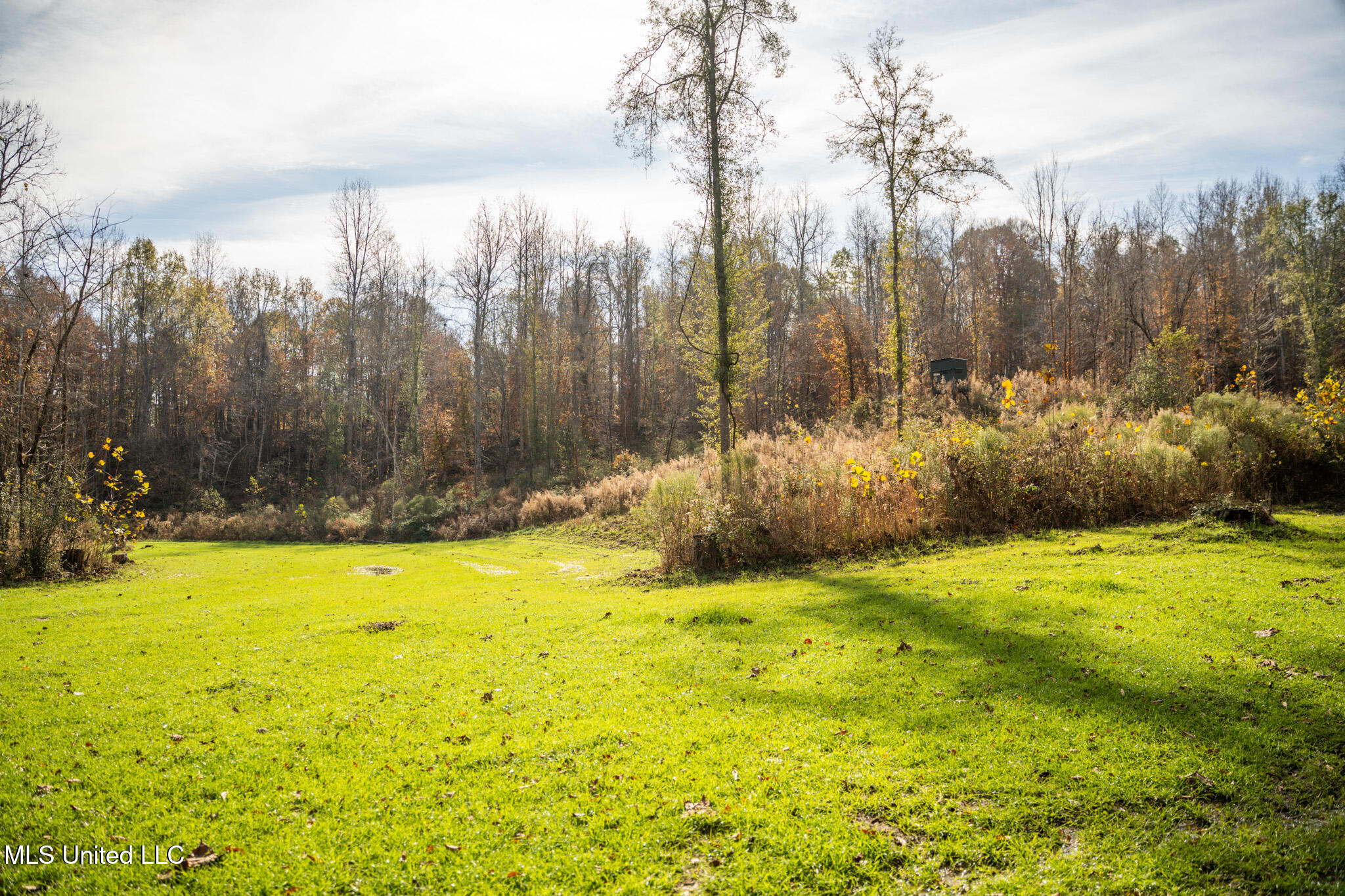 553 Murray Road Property Photo 54
