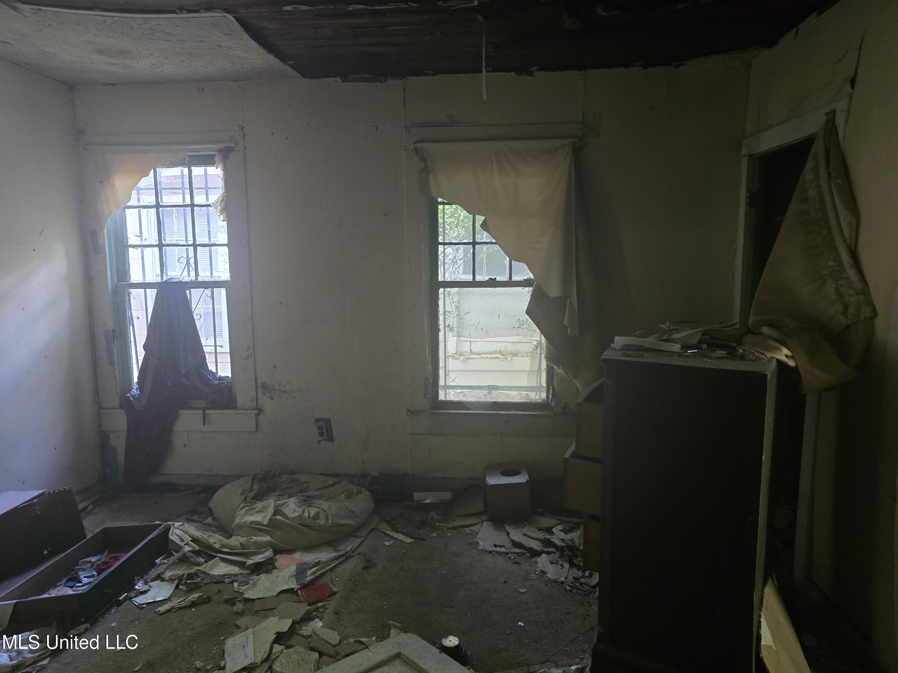 207 Huron Street Property Photo 11