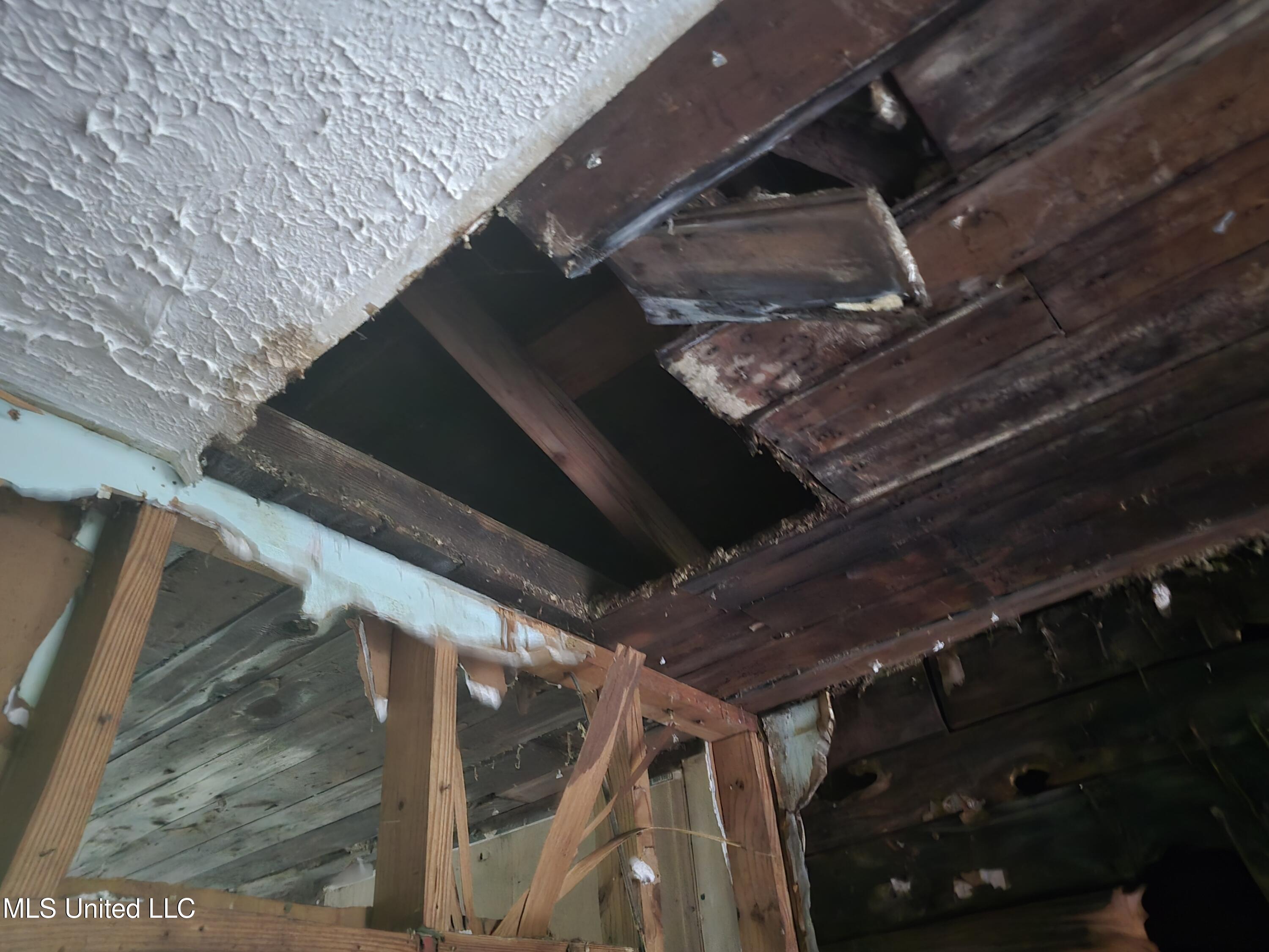 207 Huron Street Property Photo 20