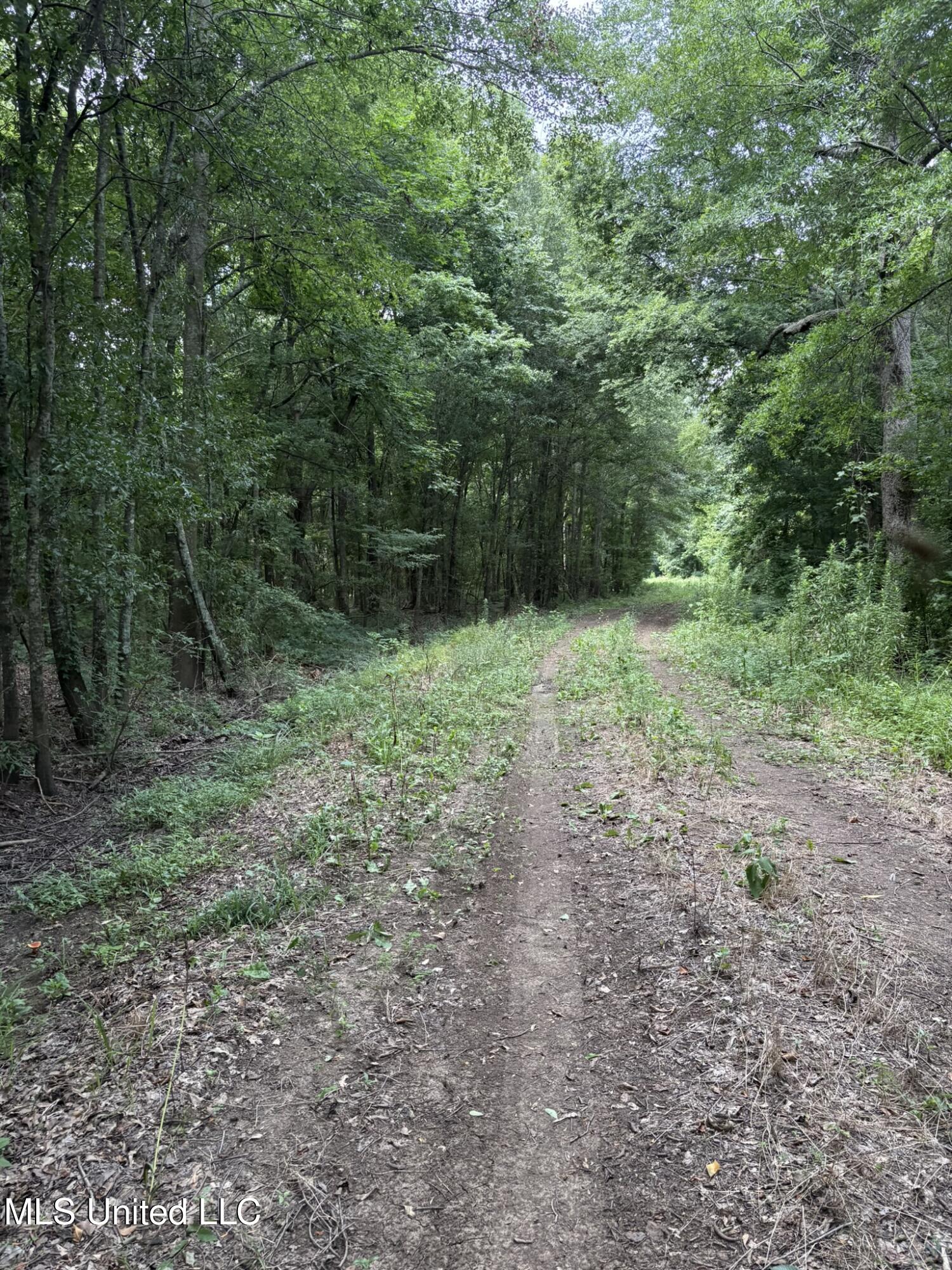 E River Road