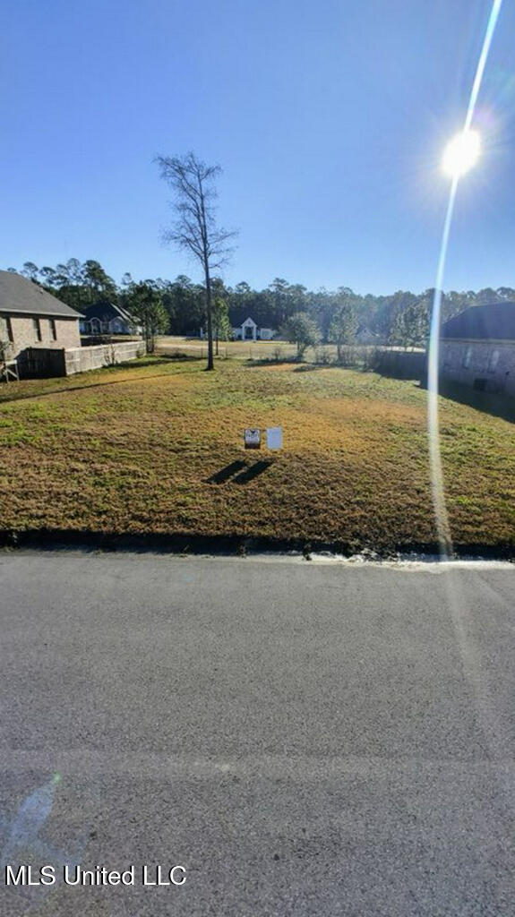 132 Old Savannah Drive Property Photo 1
