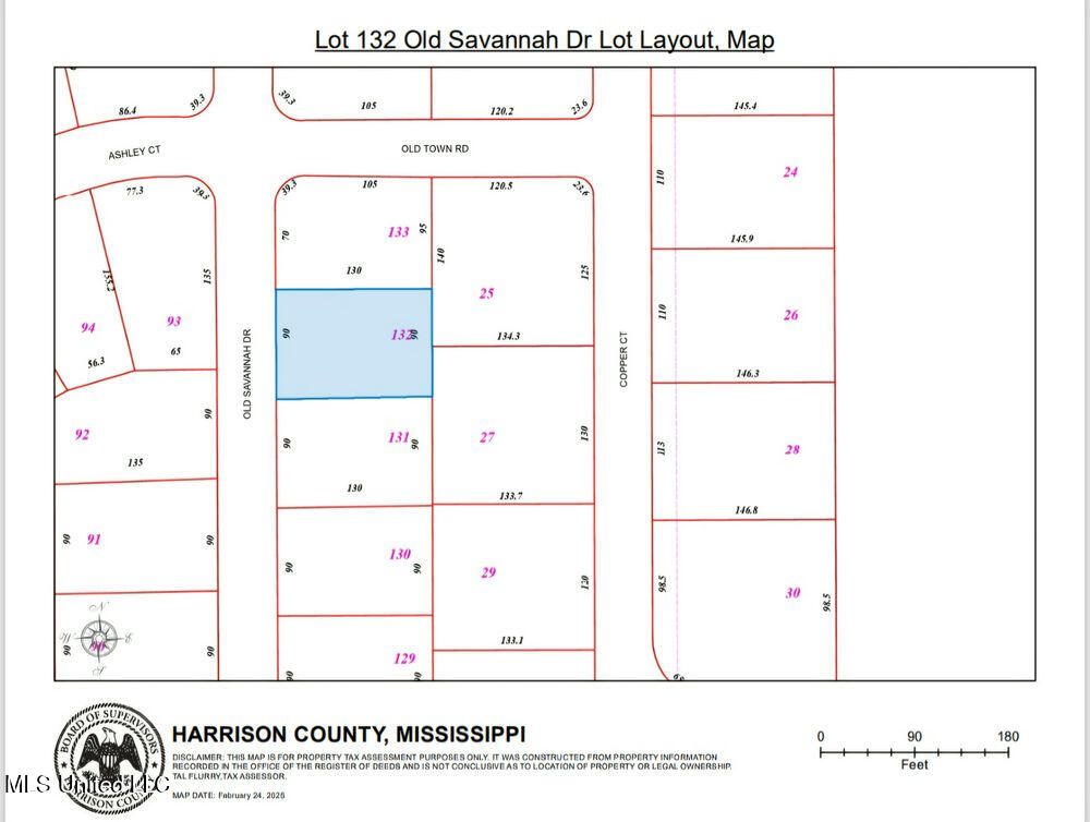 132 Old Savannah Drive Property Photo 2