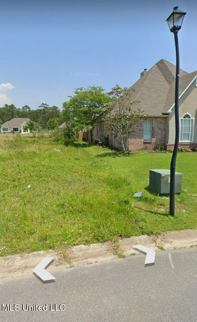 132 Old Savannah Drive Property Photo 3