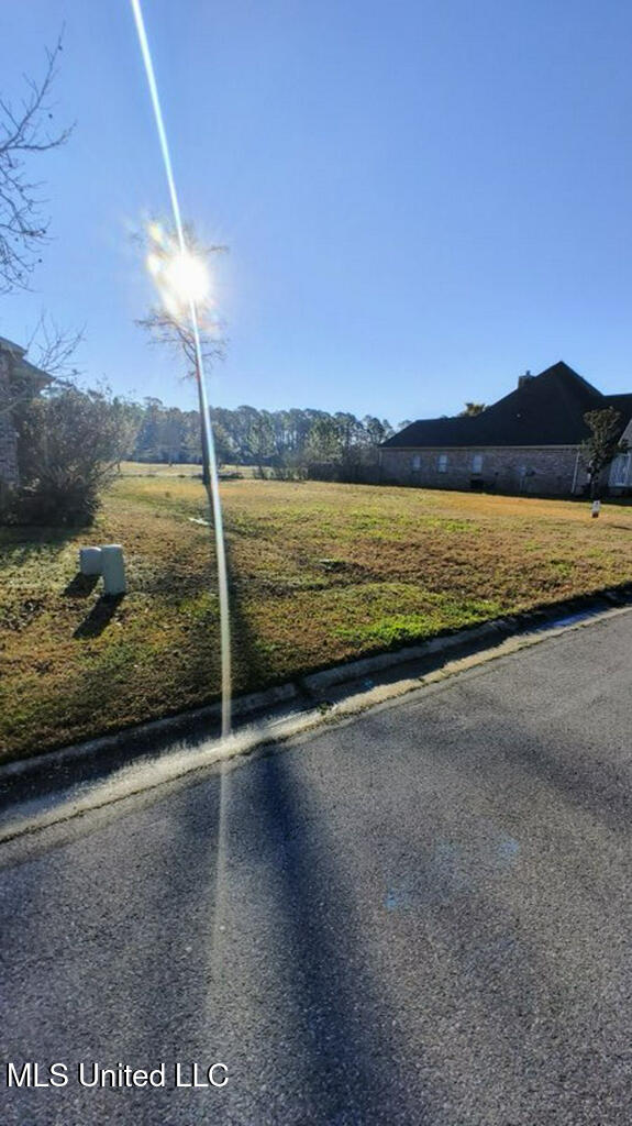 132 Old Savannah Drive Property Photo 4