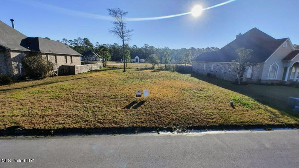 132 Old Savannah Drive Property Photo 5